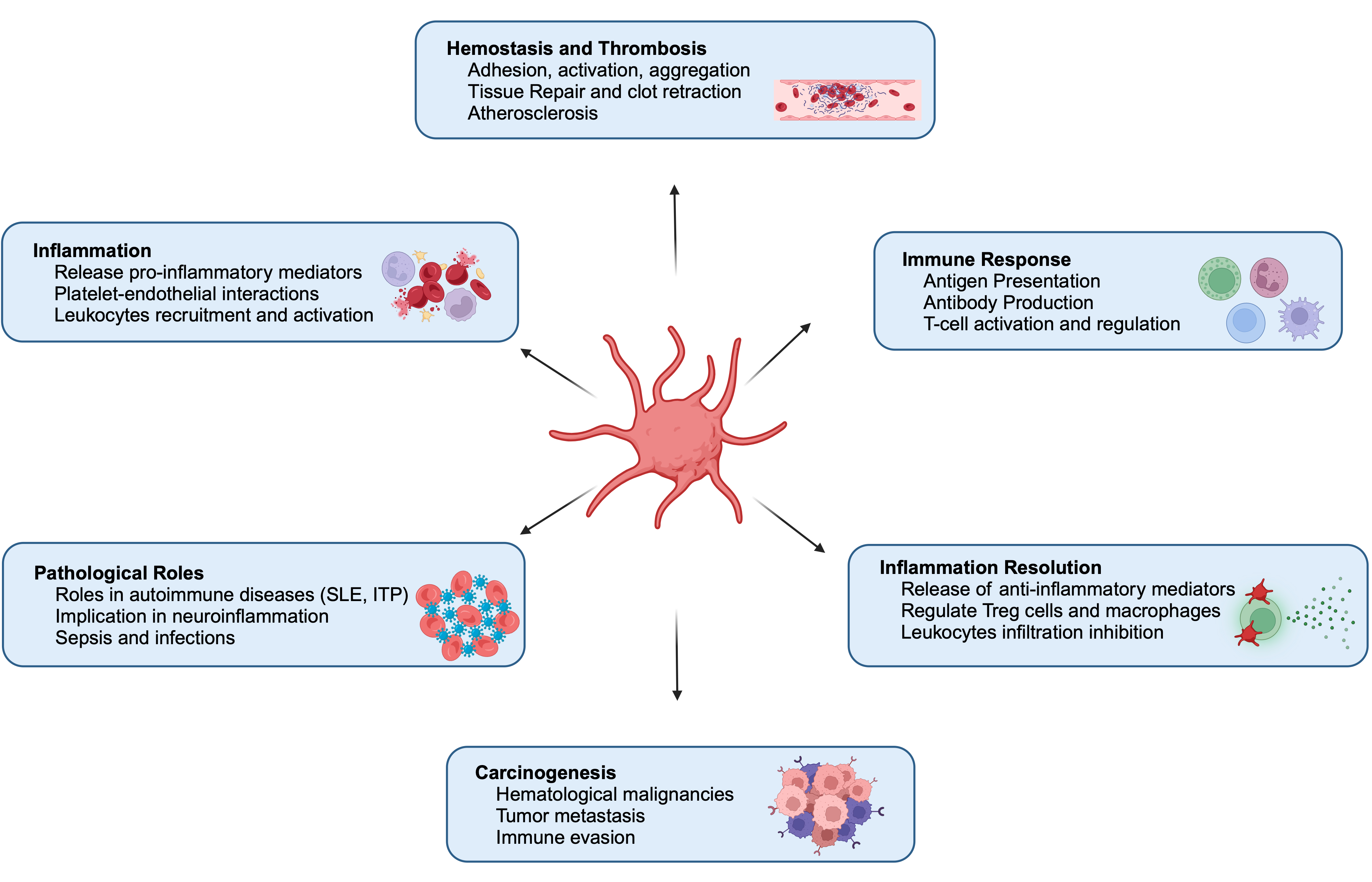 Vaccines 13 00403 g001 Vaccines 13 00403 g001