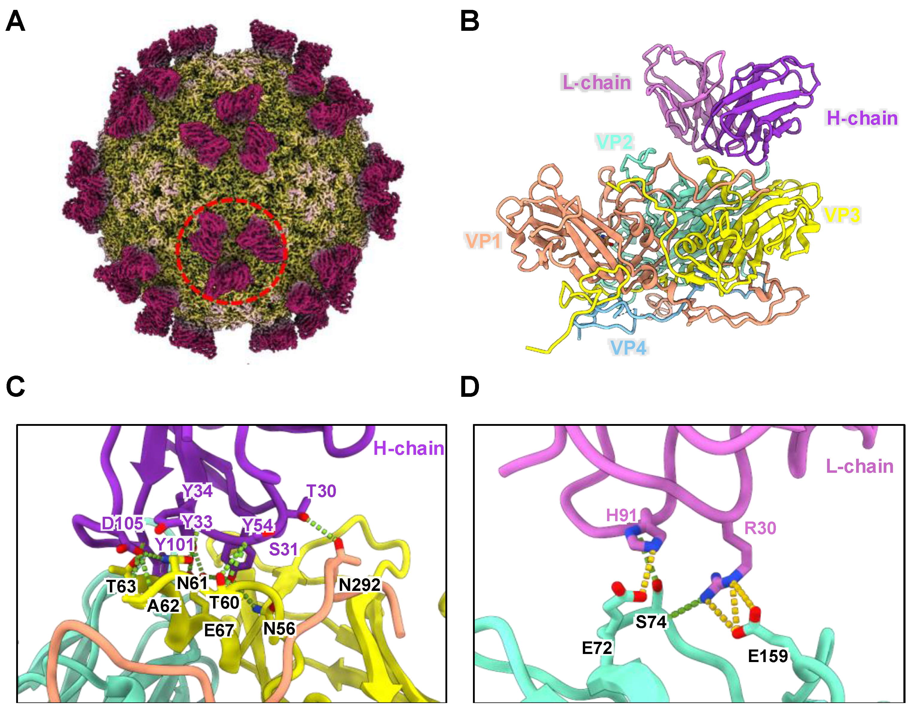 Vaccines 13 00404 g001