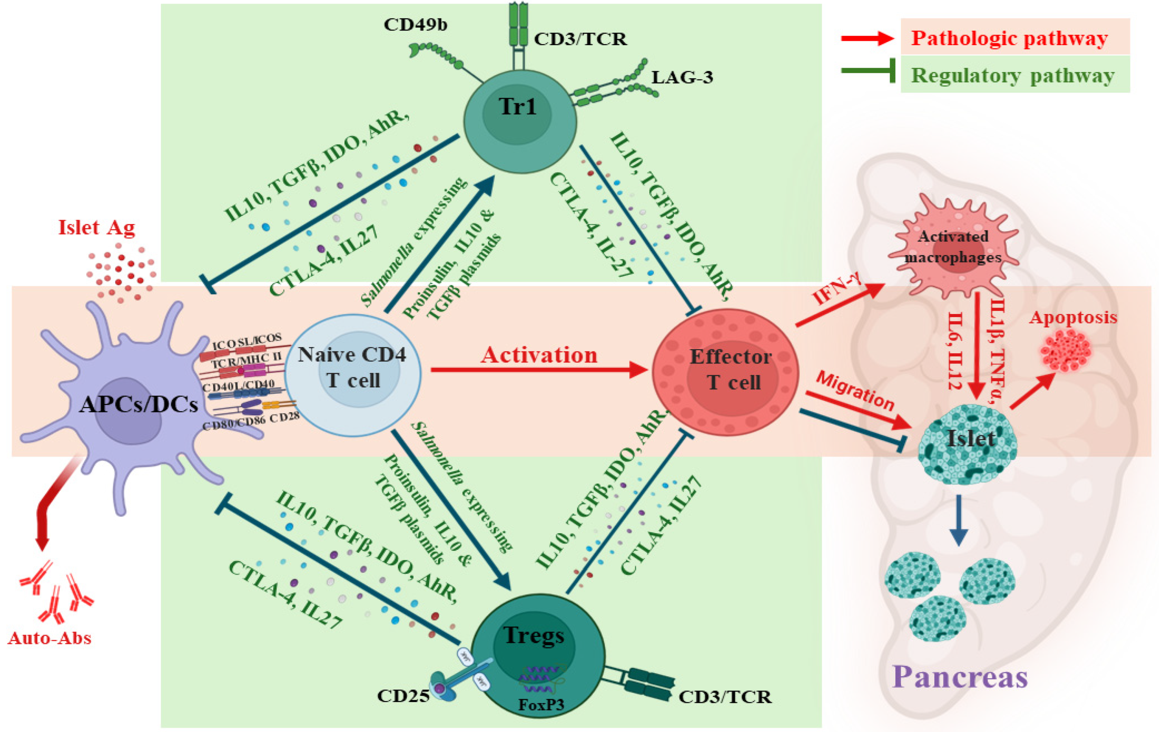 Vaccines 13 00405 g003