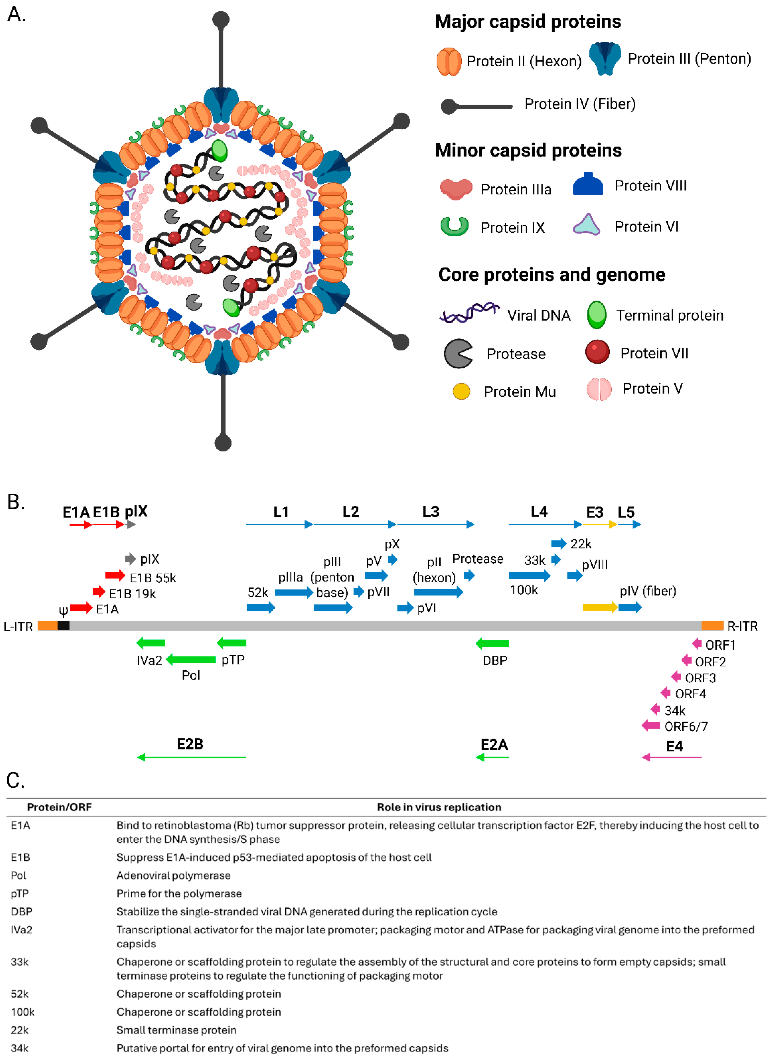 Vaccines 13 00406 g001 Vaccines 13 00406 g001