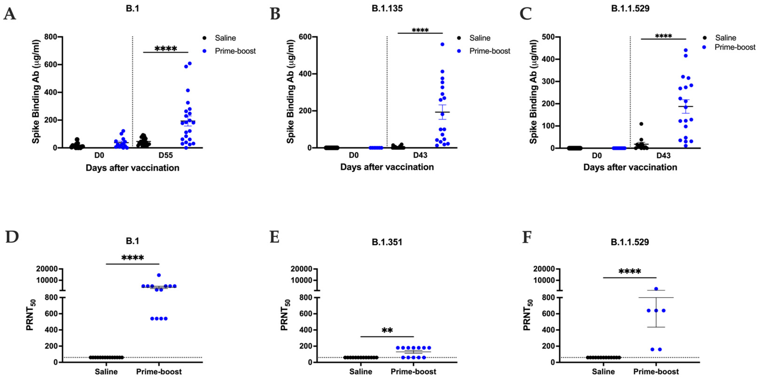Vaccines 13 00411 g001