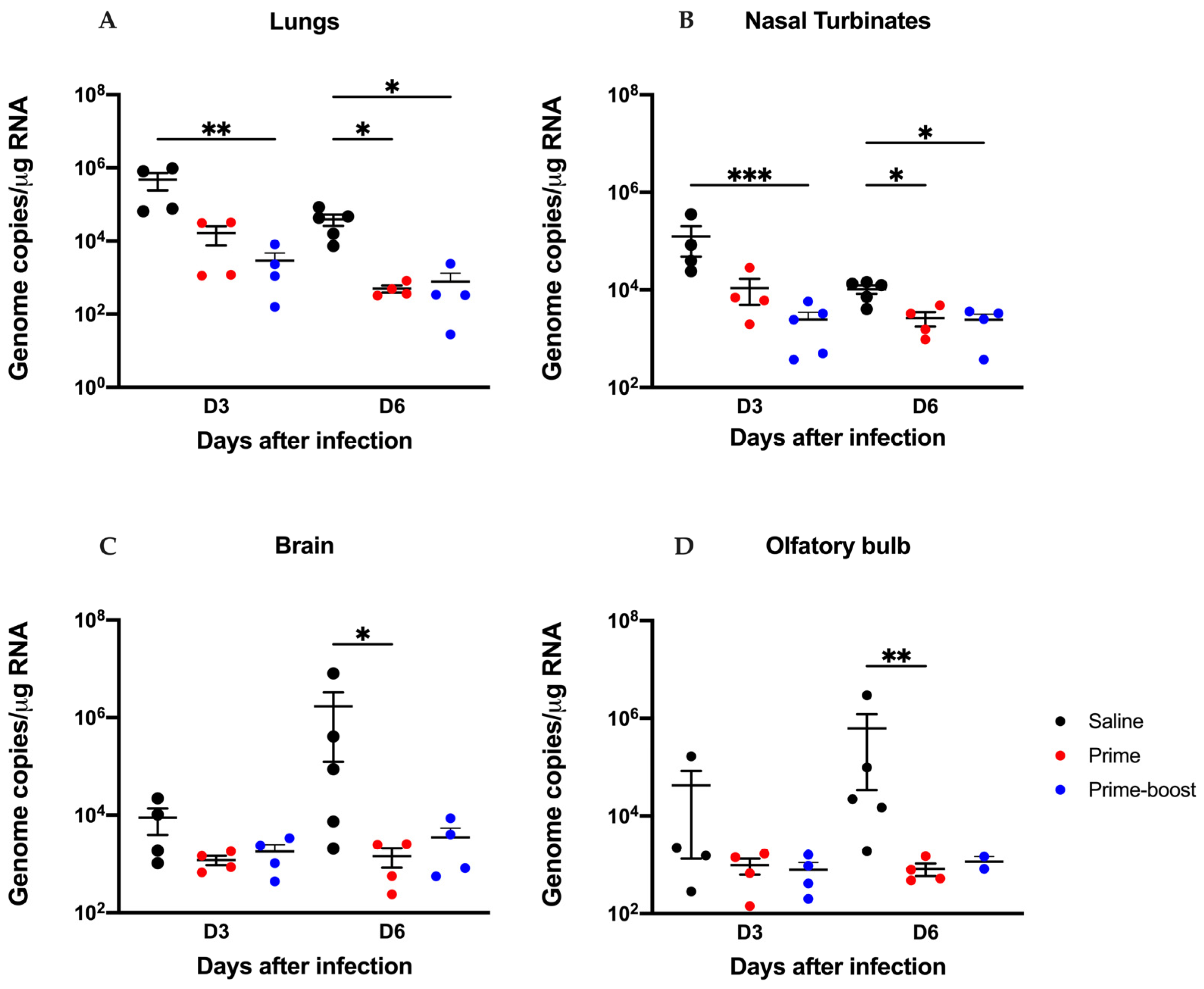 Vaccines 13 00411 g006