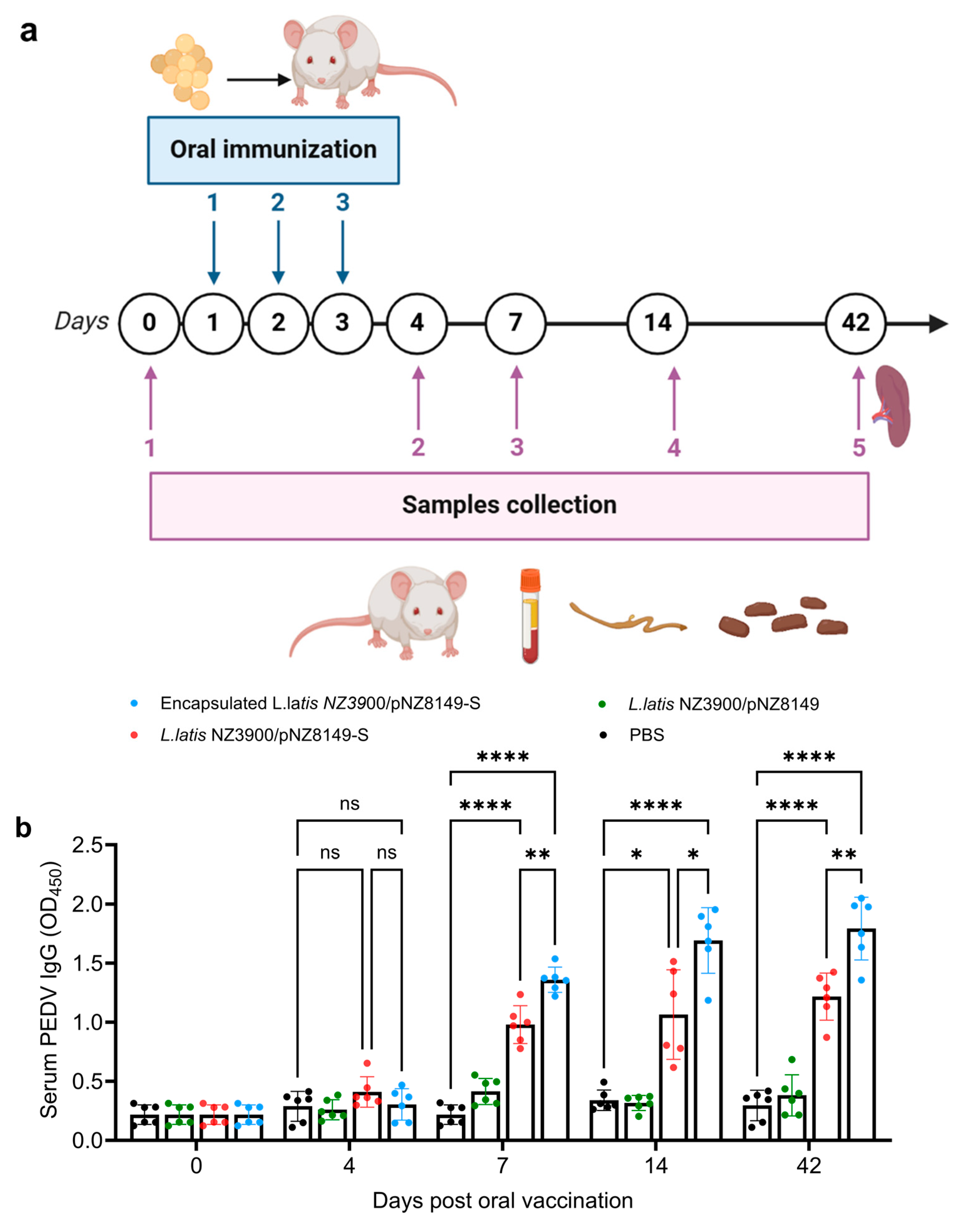 Vaccines 13 00421 g003a