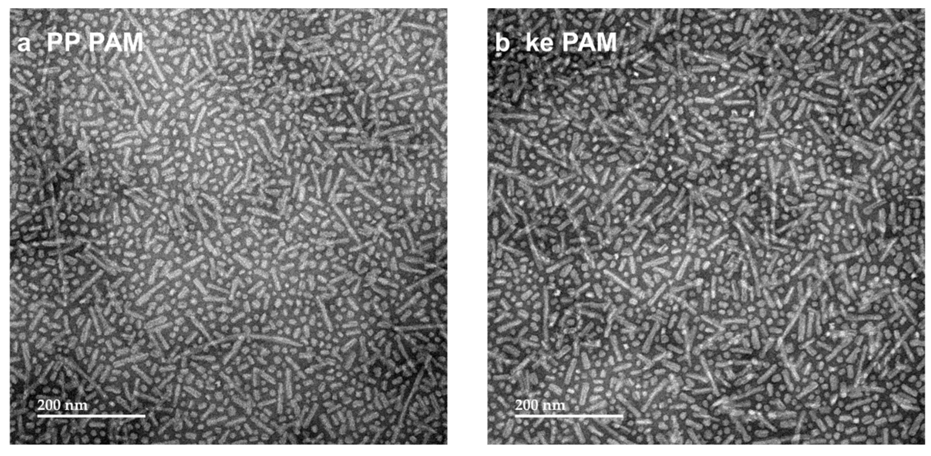Vaccines 13 00422 g003a