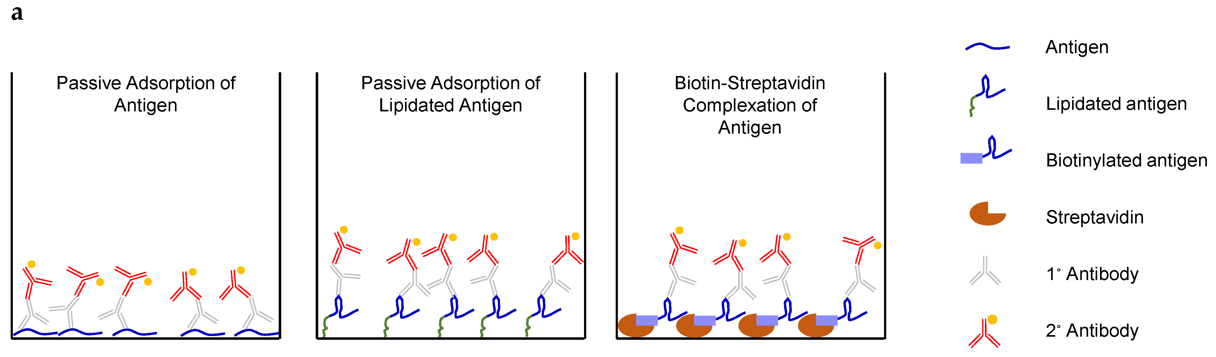 Vaccines 13 00422 g007a