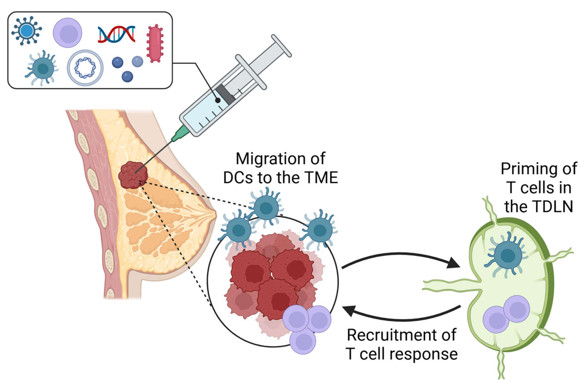 Vaccines 13 00429 g001 Vaccines 13 00429 g001