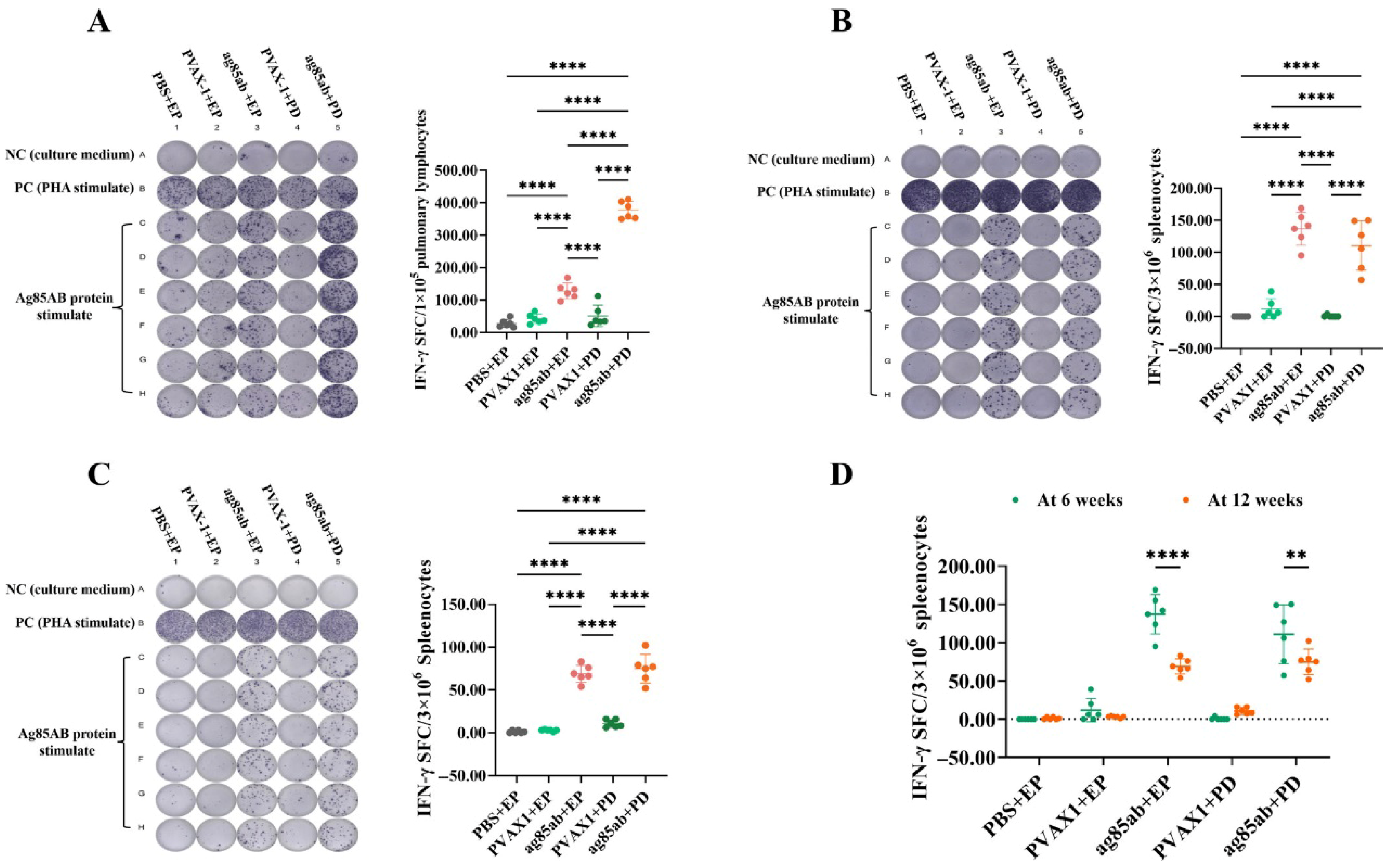 Vaccines 13 00442 g002 Vaccines 13 00442 g002