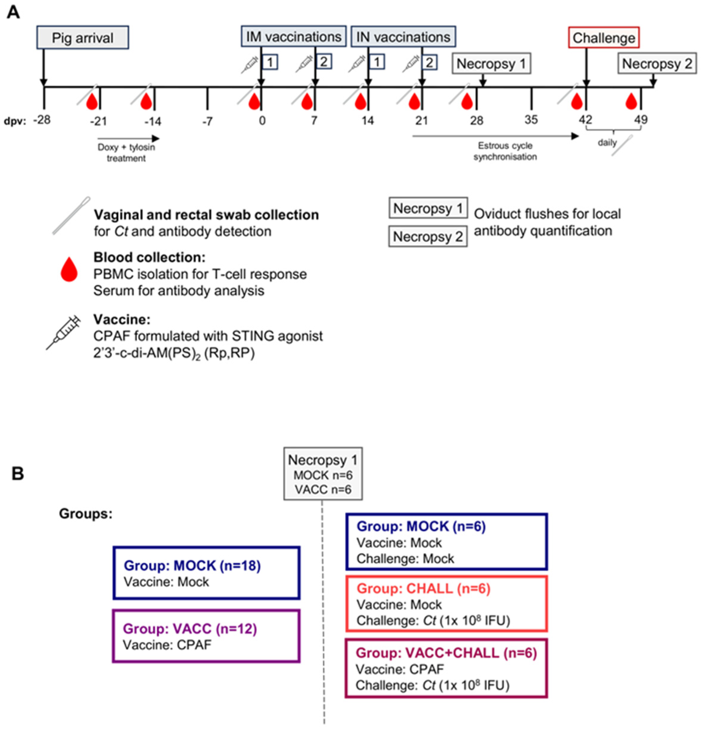 Vaccines 13 00468 g001 Vaccines 13 00468 g001