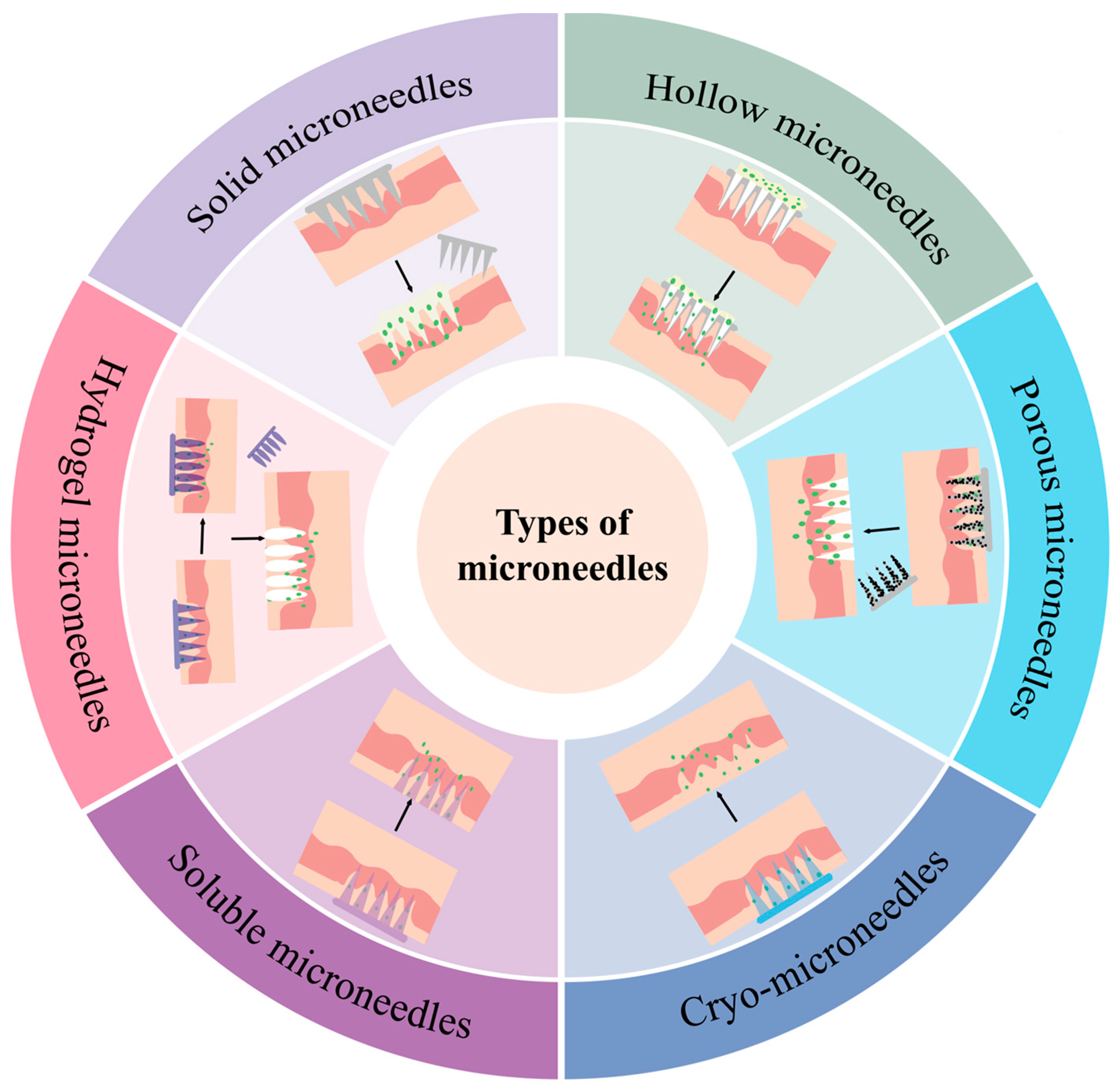 Vaccines 13 00469 g002