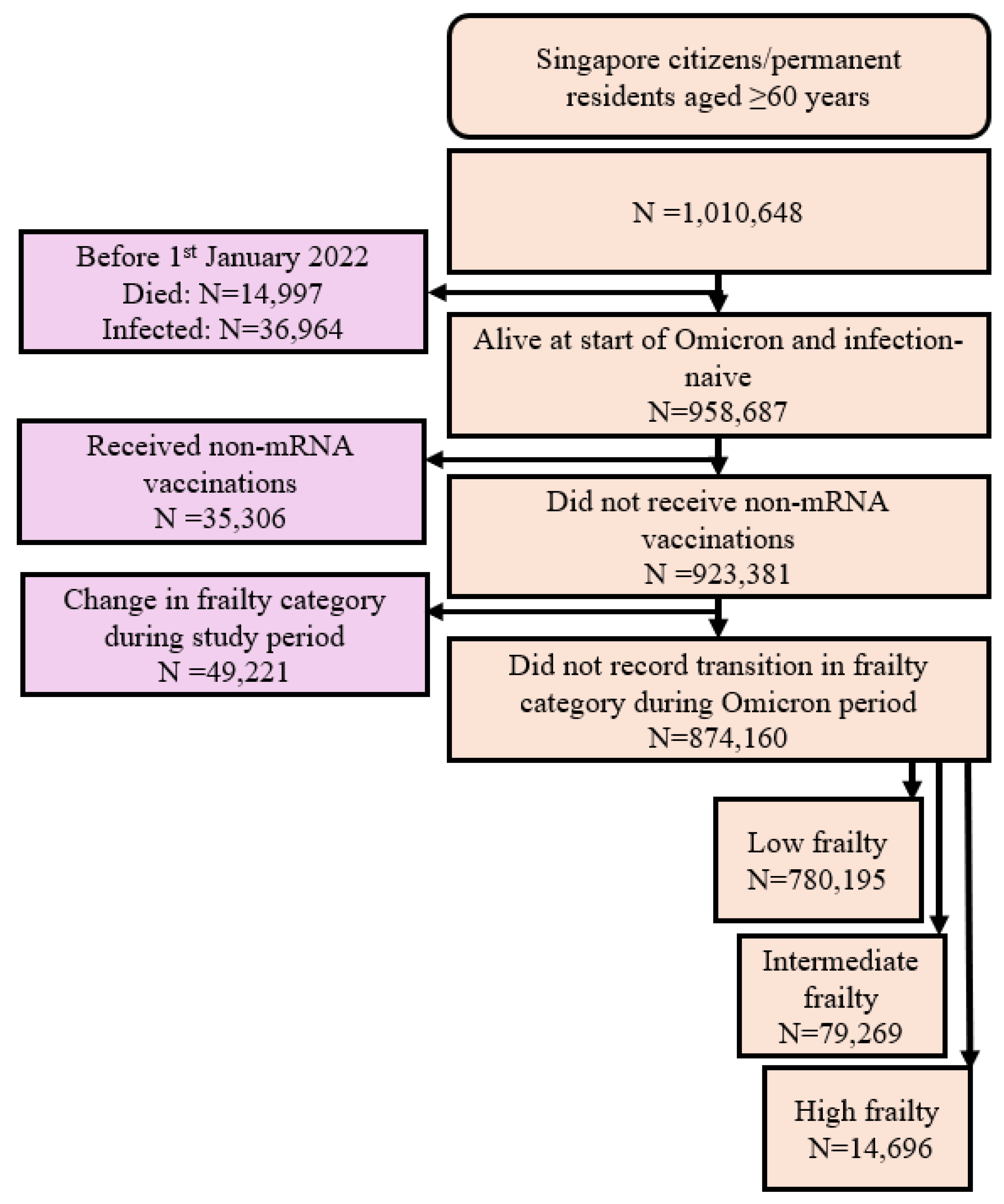 Vaccines 13 00565 g001
