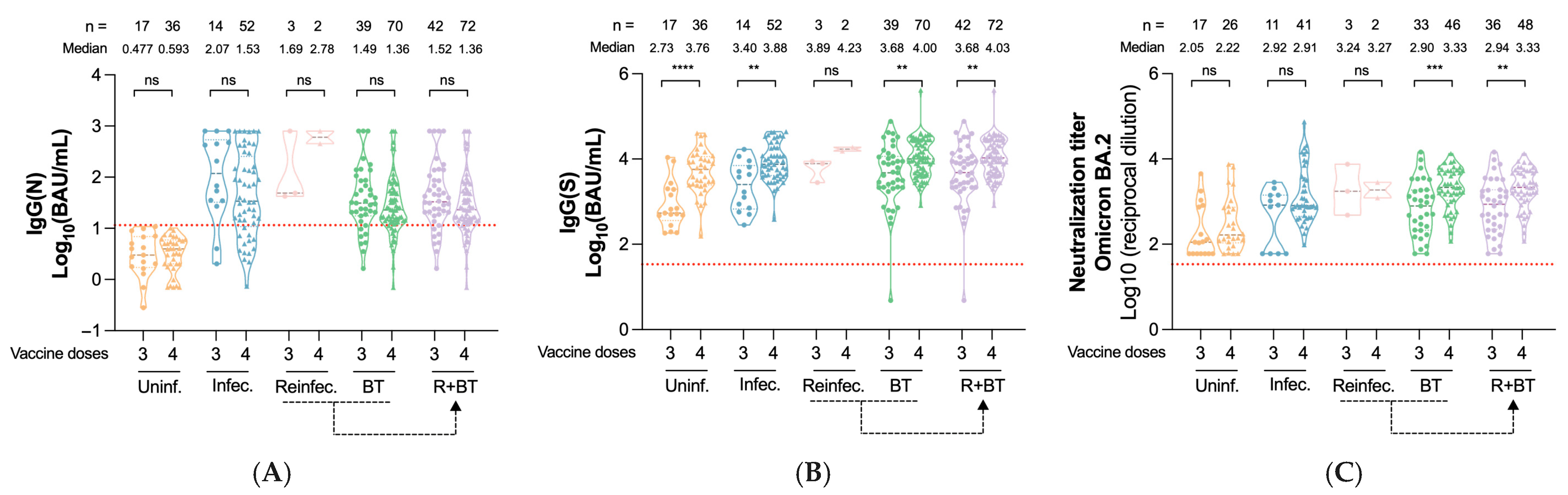 Vaccines 13 00738 g003