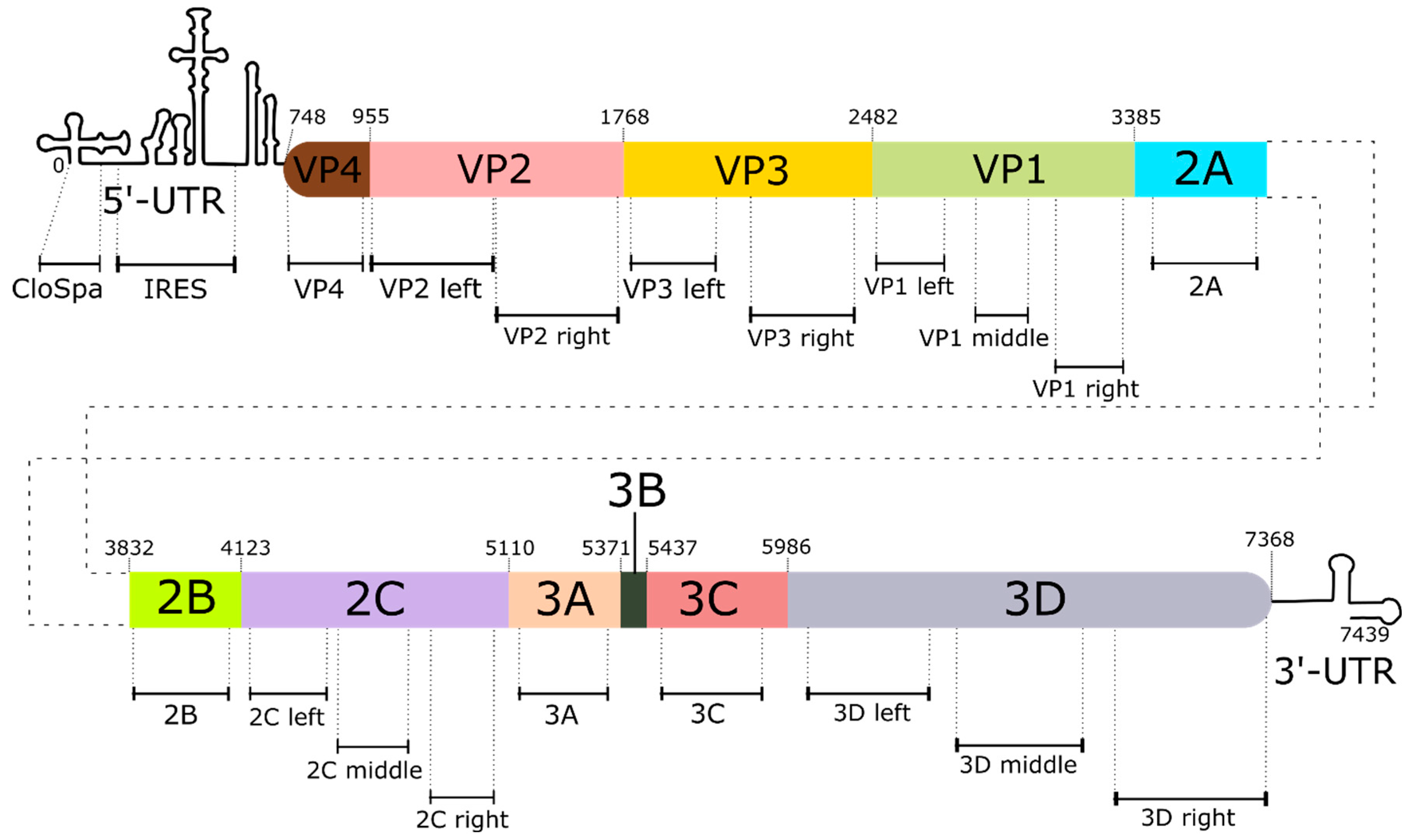Vaccines 13 00824 g001