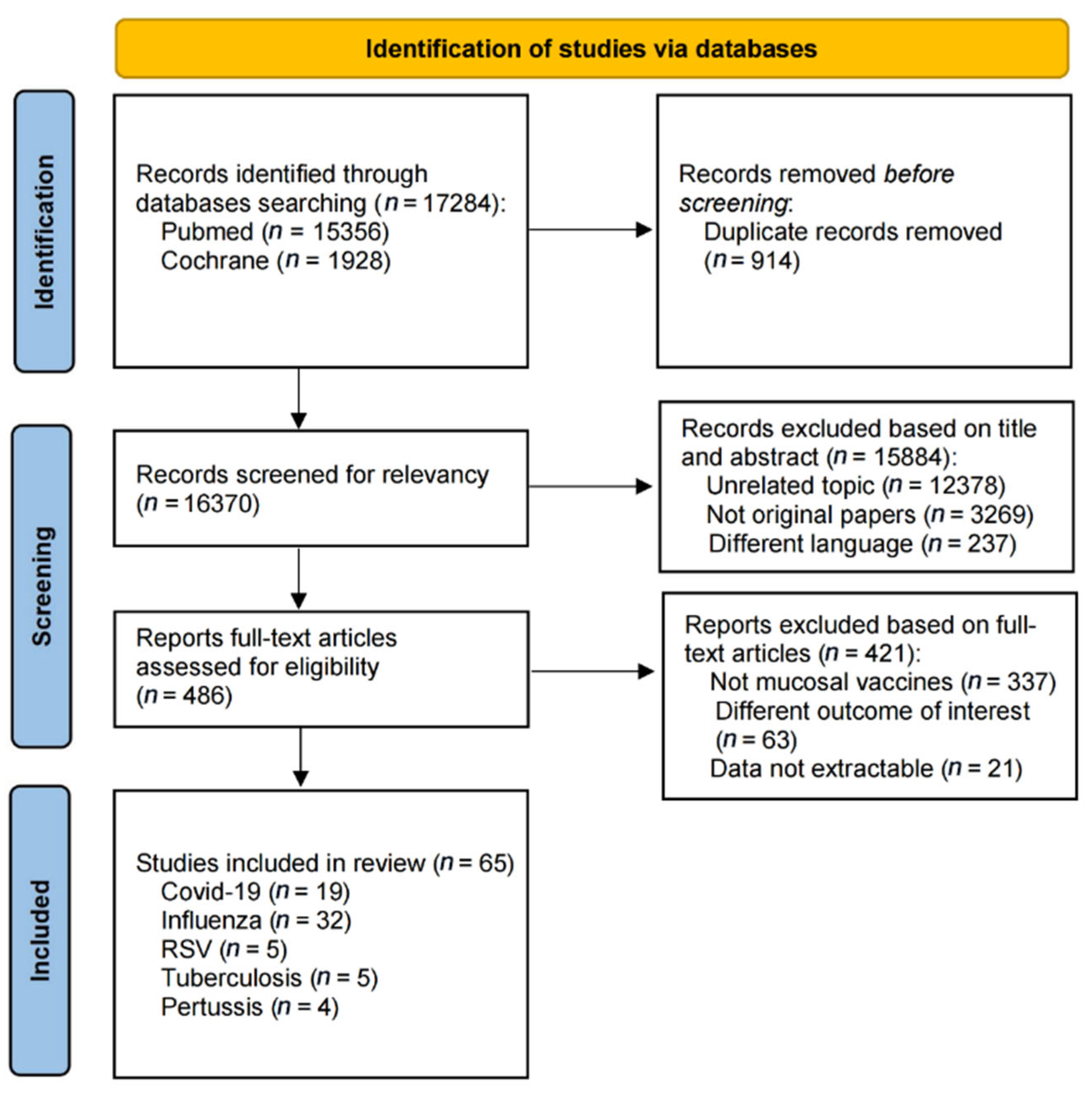 Vaccines 13 00825 g001 Vaccines 13 00825 g001