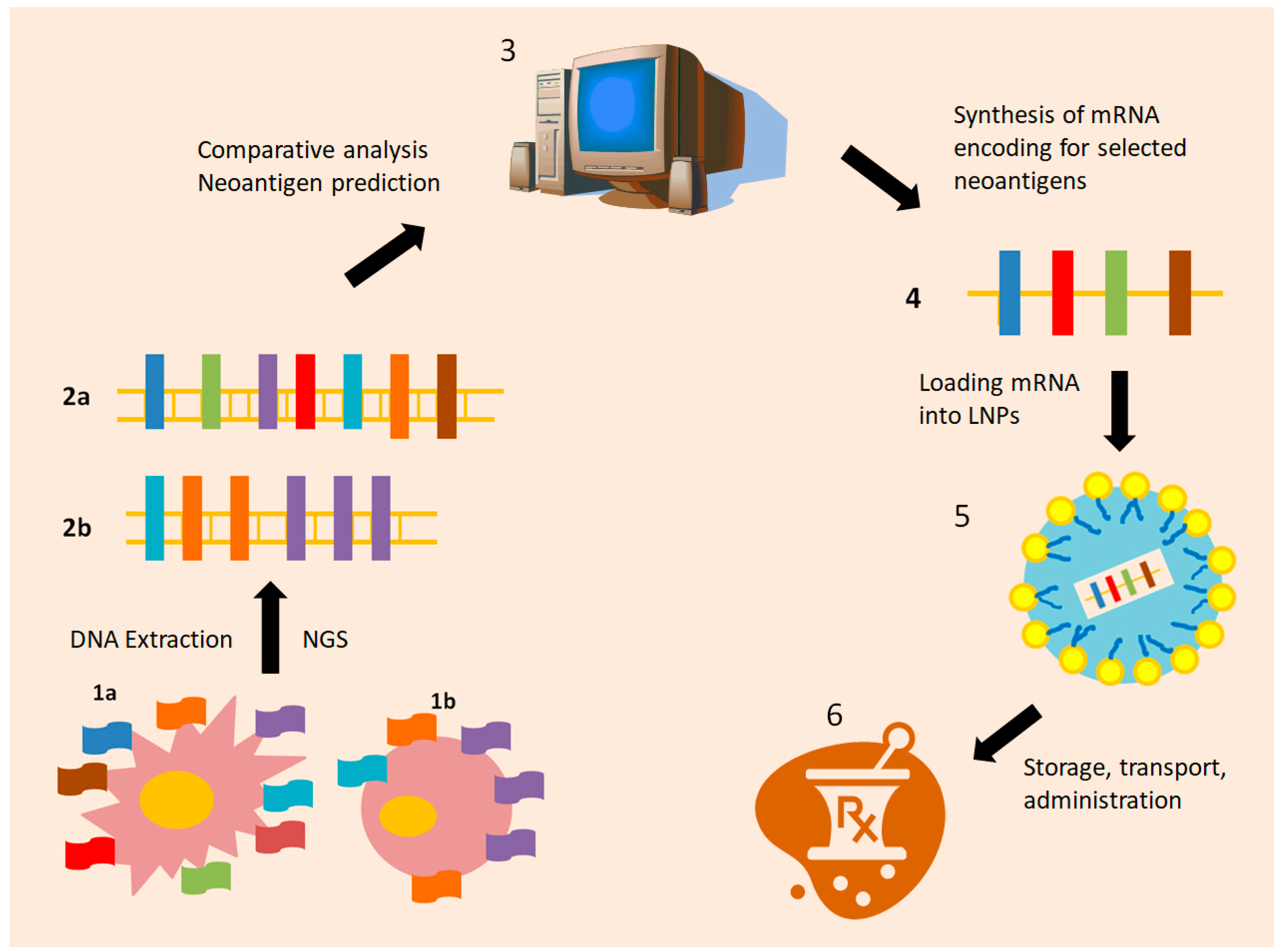 Vaccines 13 00986 g001 Vaccines 13 00986 g001