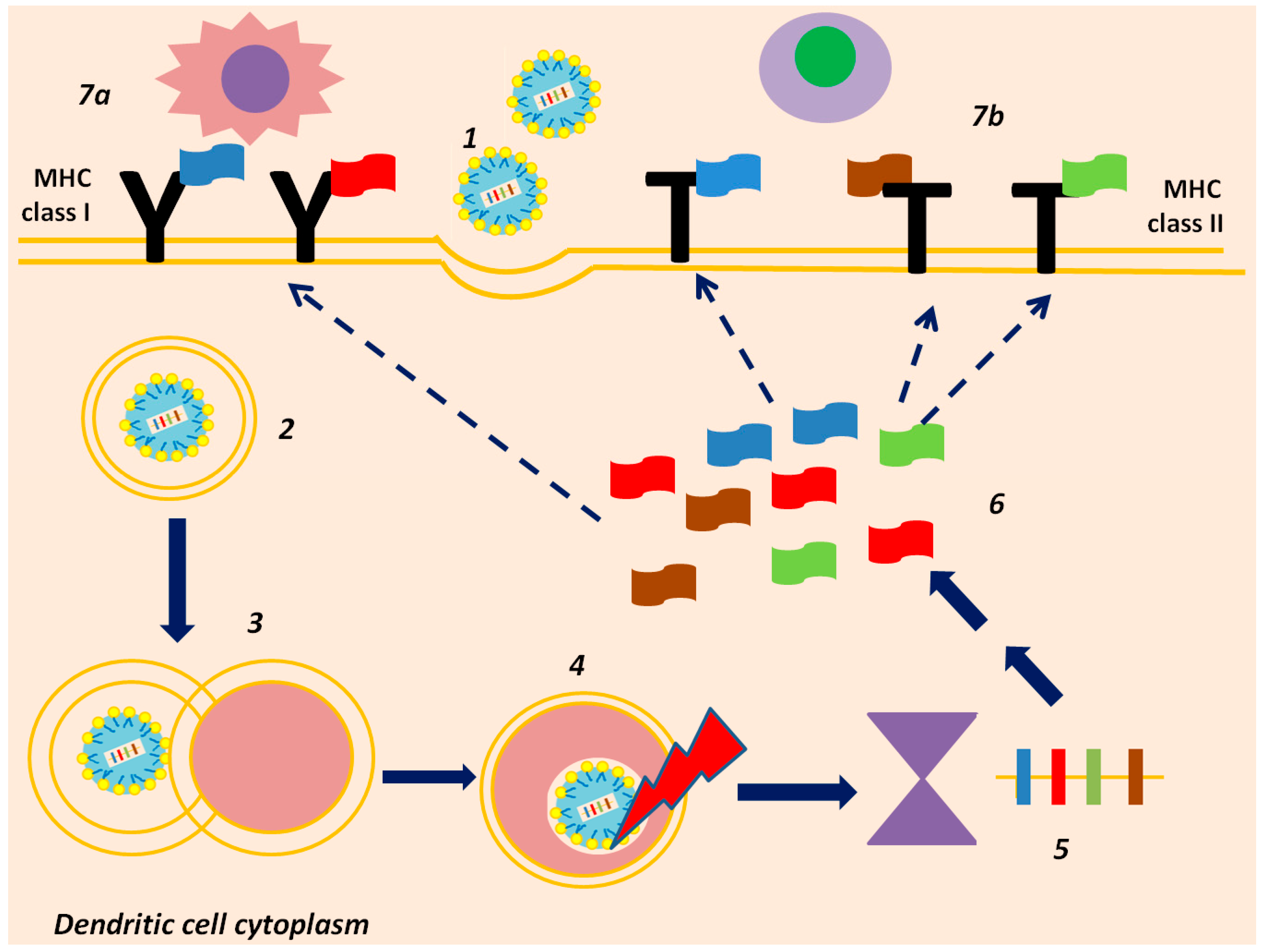 Vaccines 13 00986 g002 Vaccines 13 00986 g002