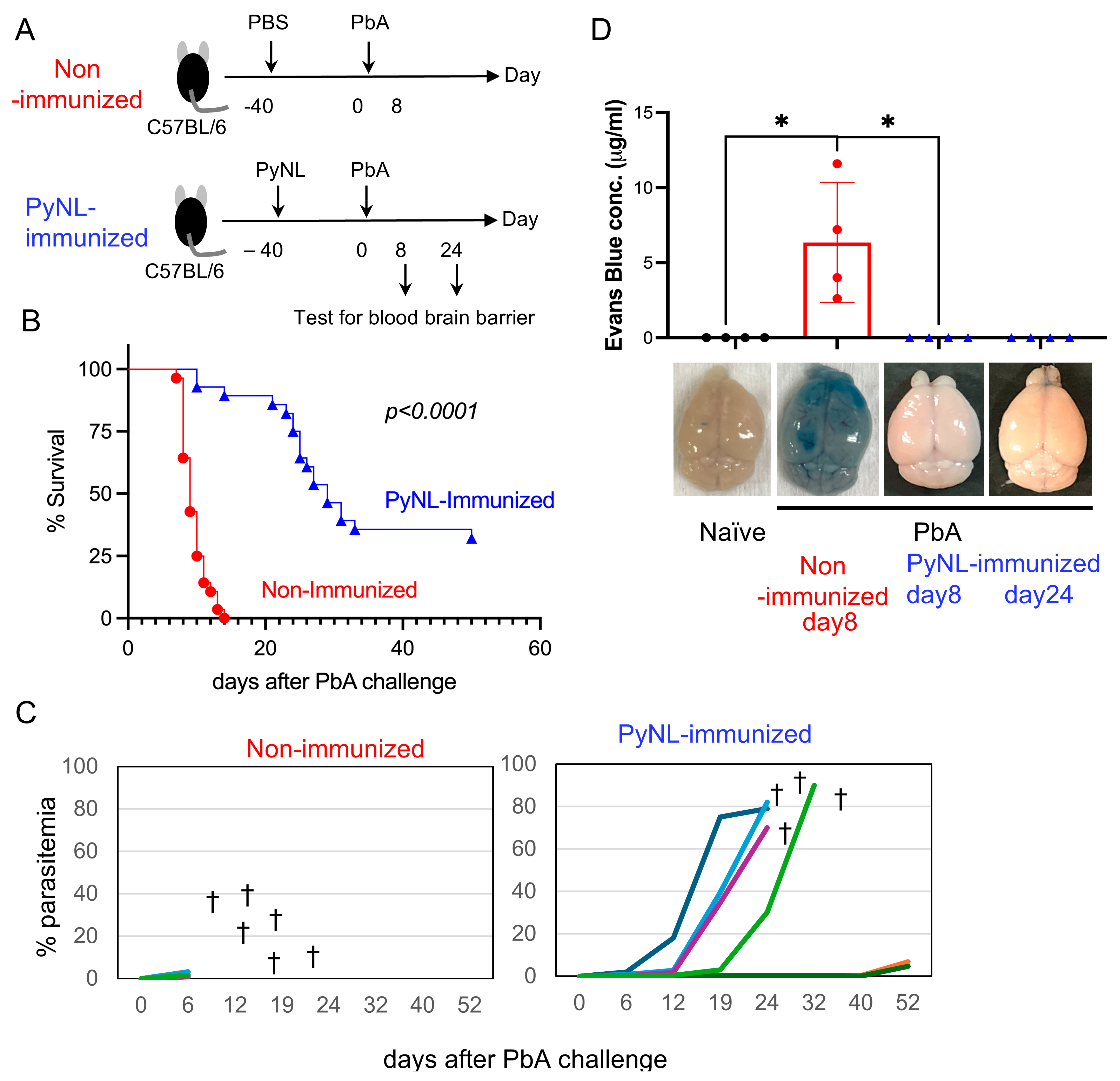 Vaccines 13 00988 g002 Vaccines 13 00988 g002