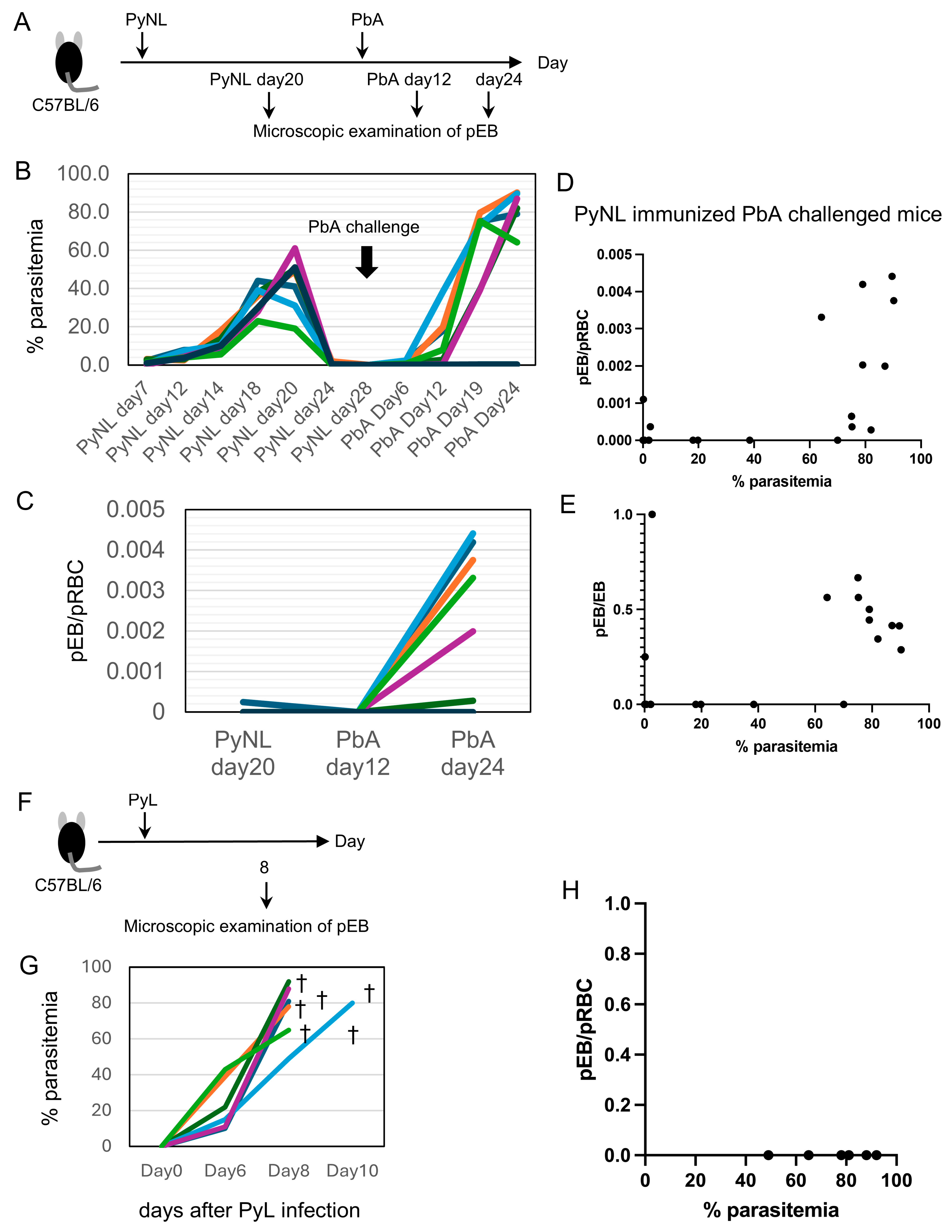 Vaccines 13 00988 g004 Vaccines 13 00988 g004