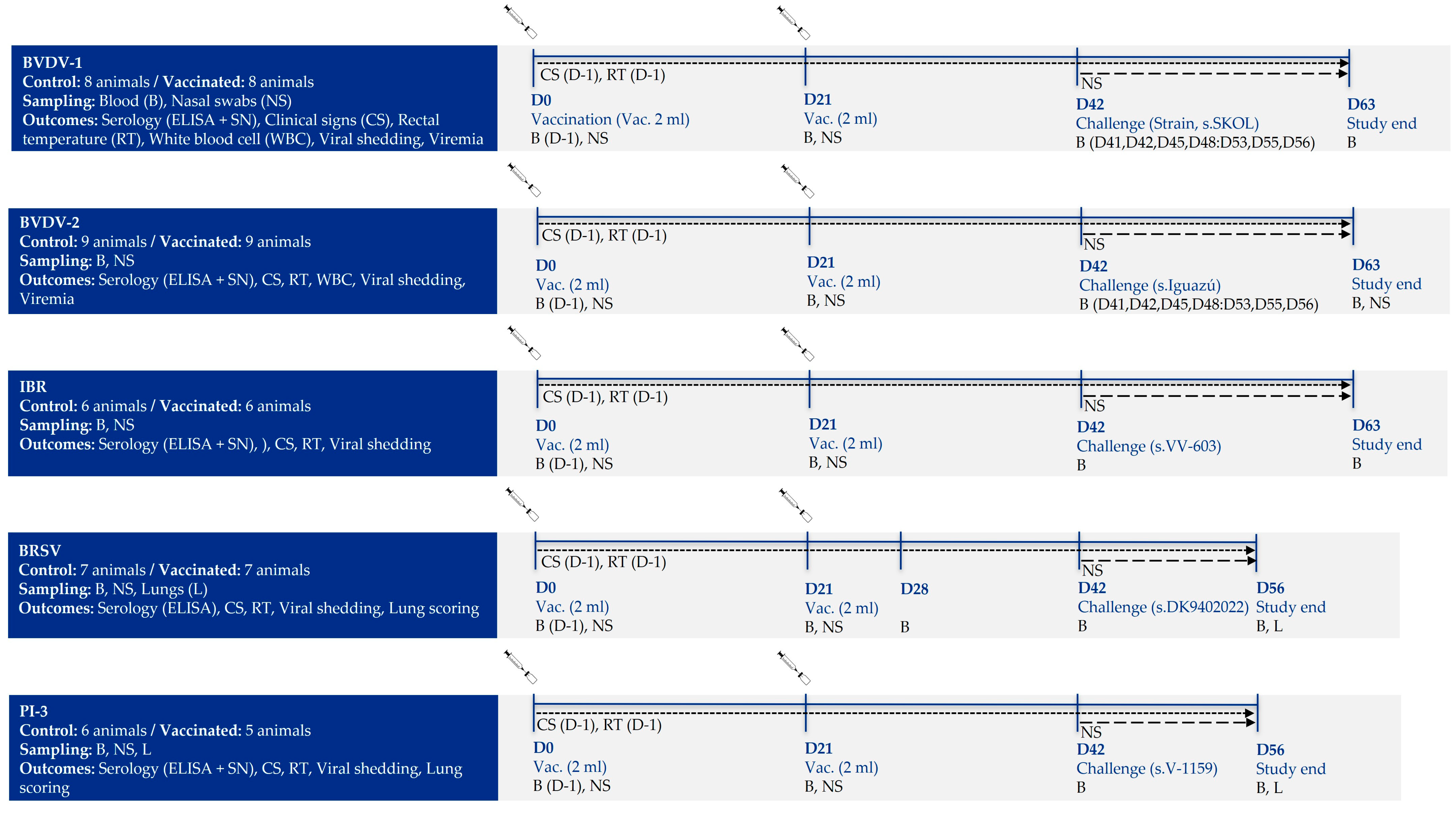 Vaccines 13 00999 g001 Vaccines 13 00999 g001