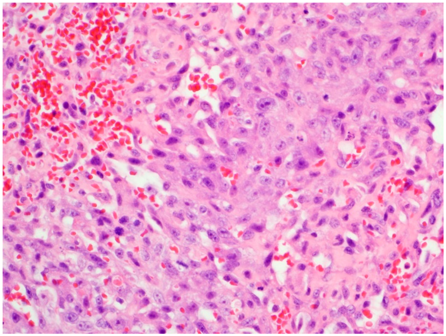 Vetsci 06 00065 g001 Vetsci 06 00065 g001