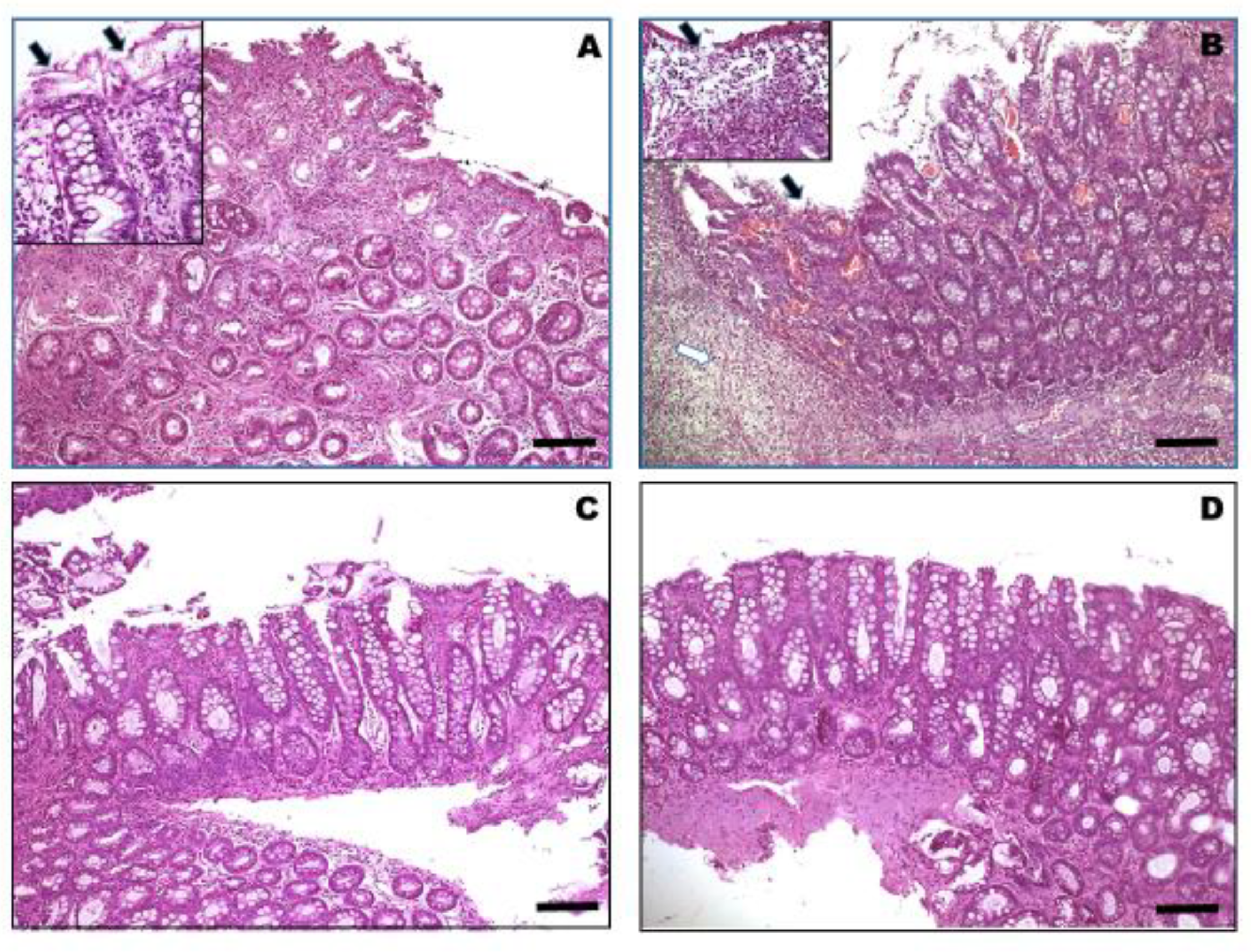 Vetsci 07 00021 g001 Vetsci 07 00021 g001
