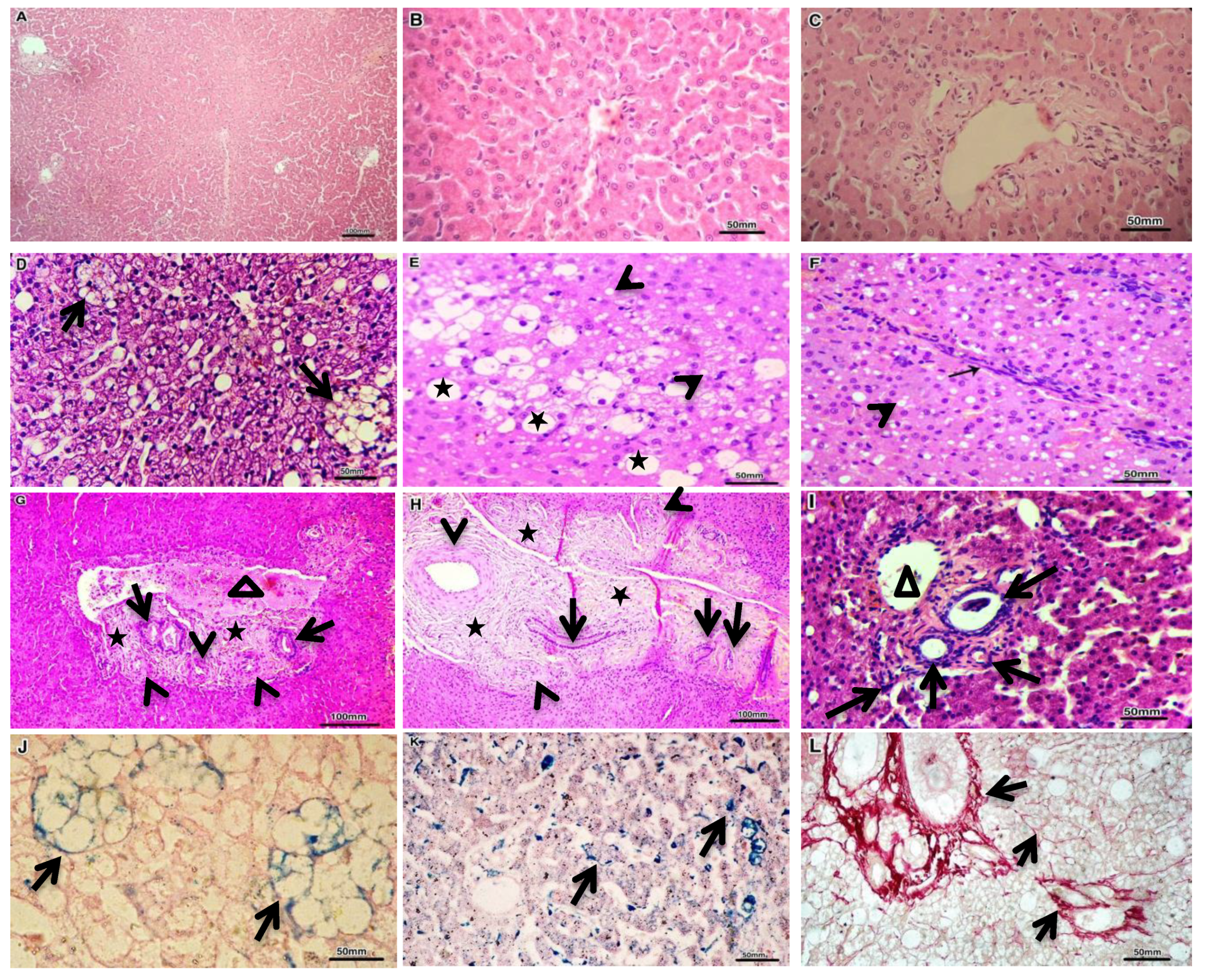 Vetsci 07 00035 g002