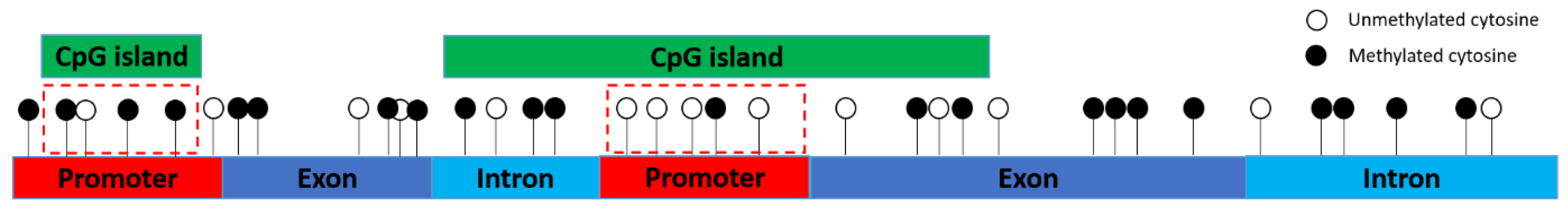 Vetsci 07 00077 g001