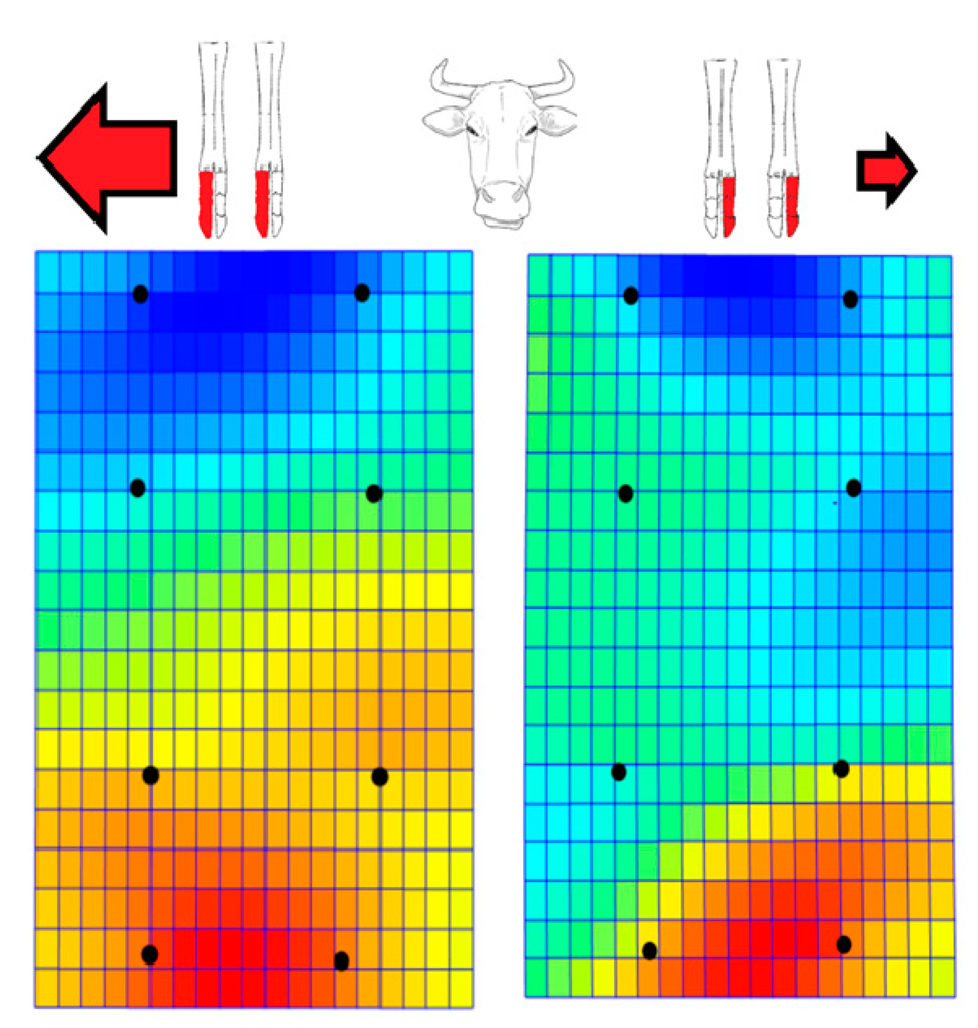 Vetsci 07 00083 g005