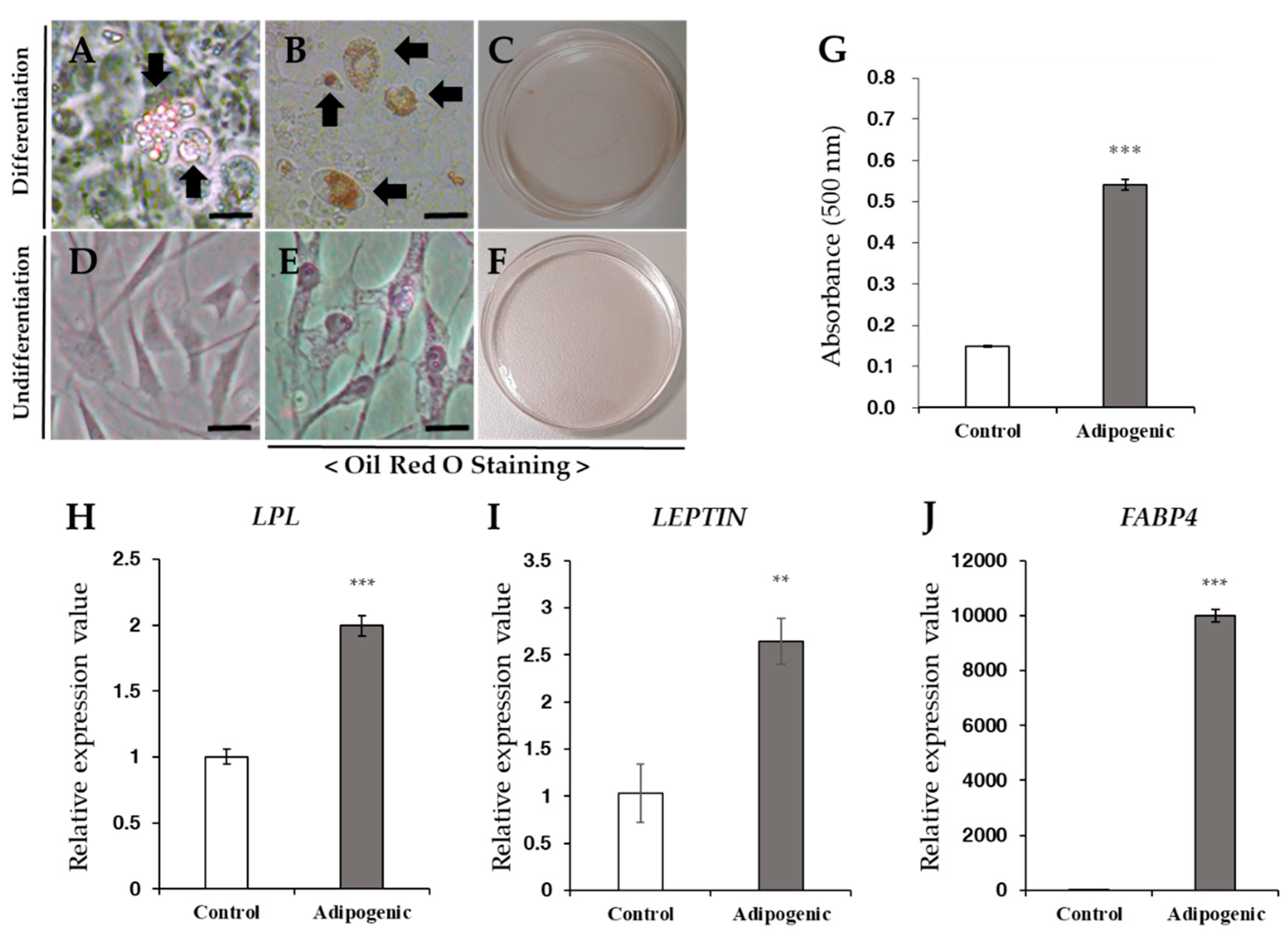 Vetsci 08 00024 g004