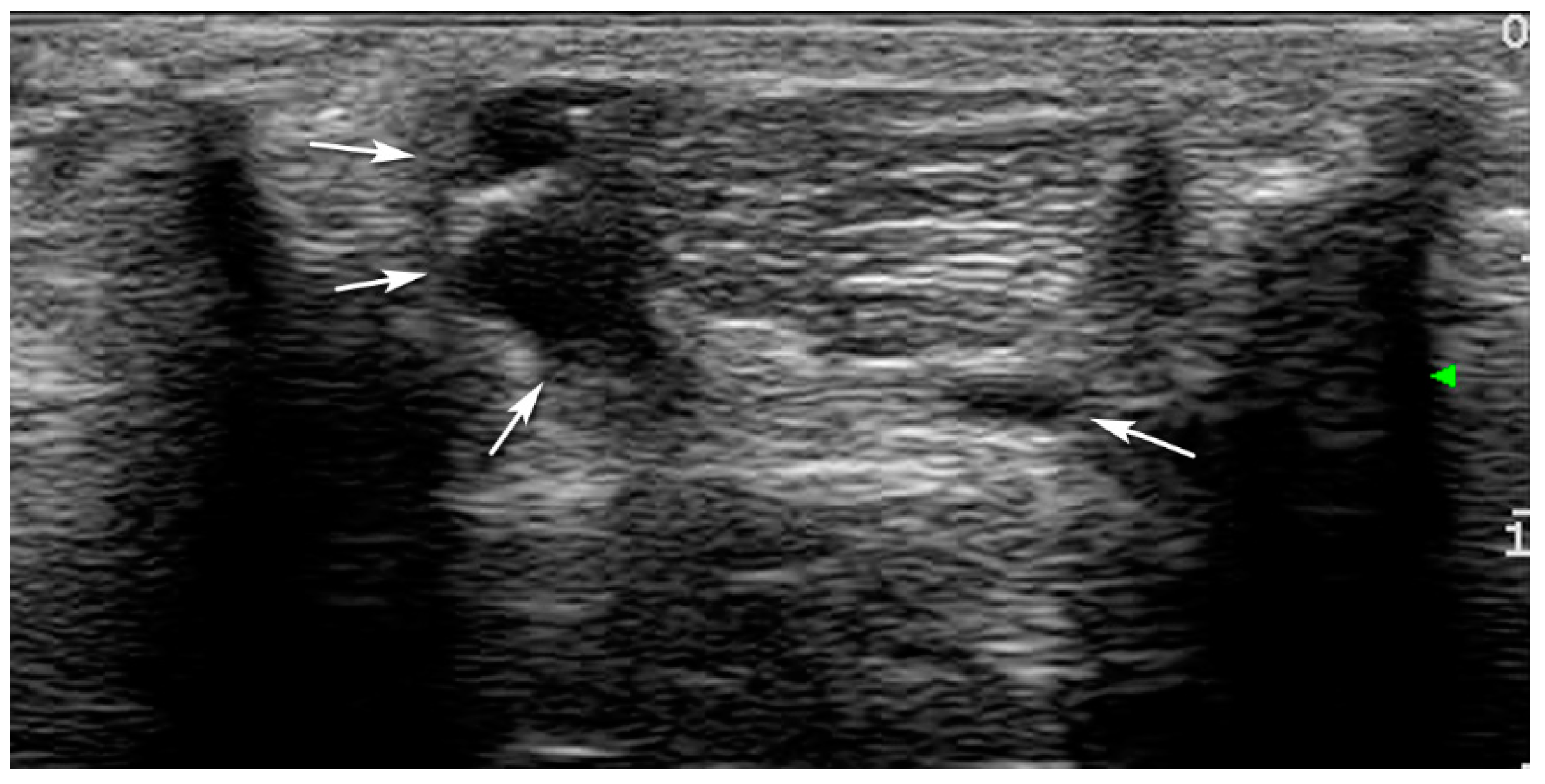 Vetsci 08 00054 g003 Vetsci 08 00054 g003