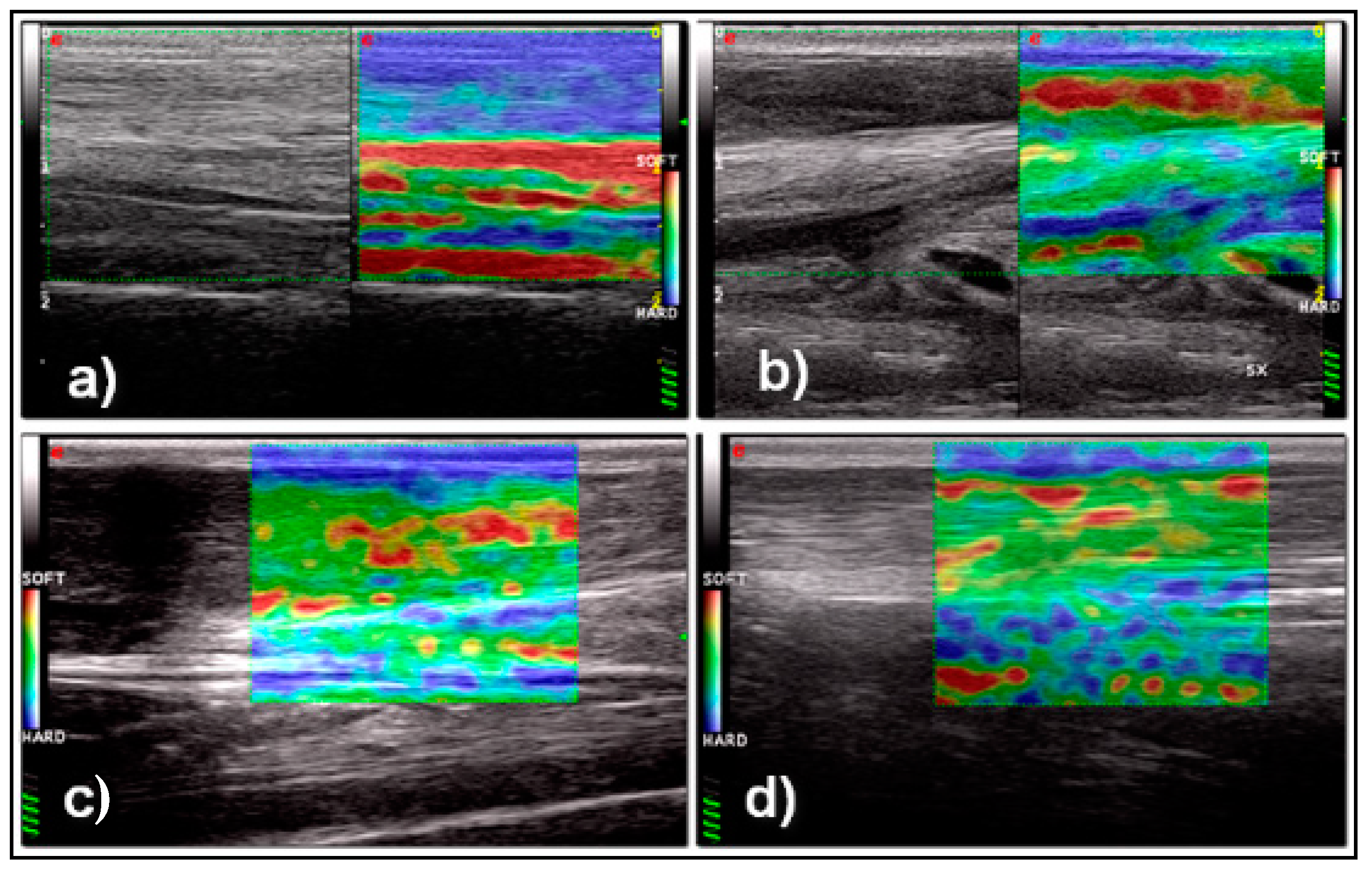 Vetsci 08 00054 g005 Vetsci 08 00054 g005