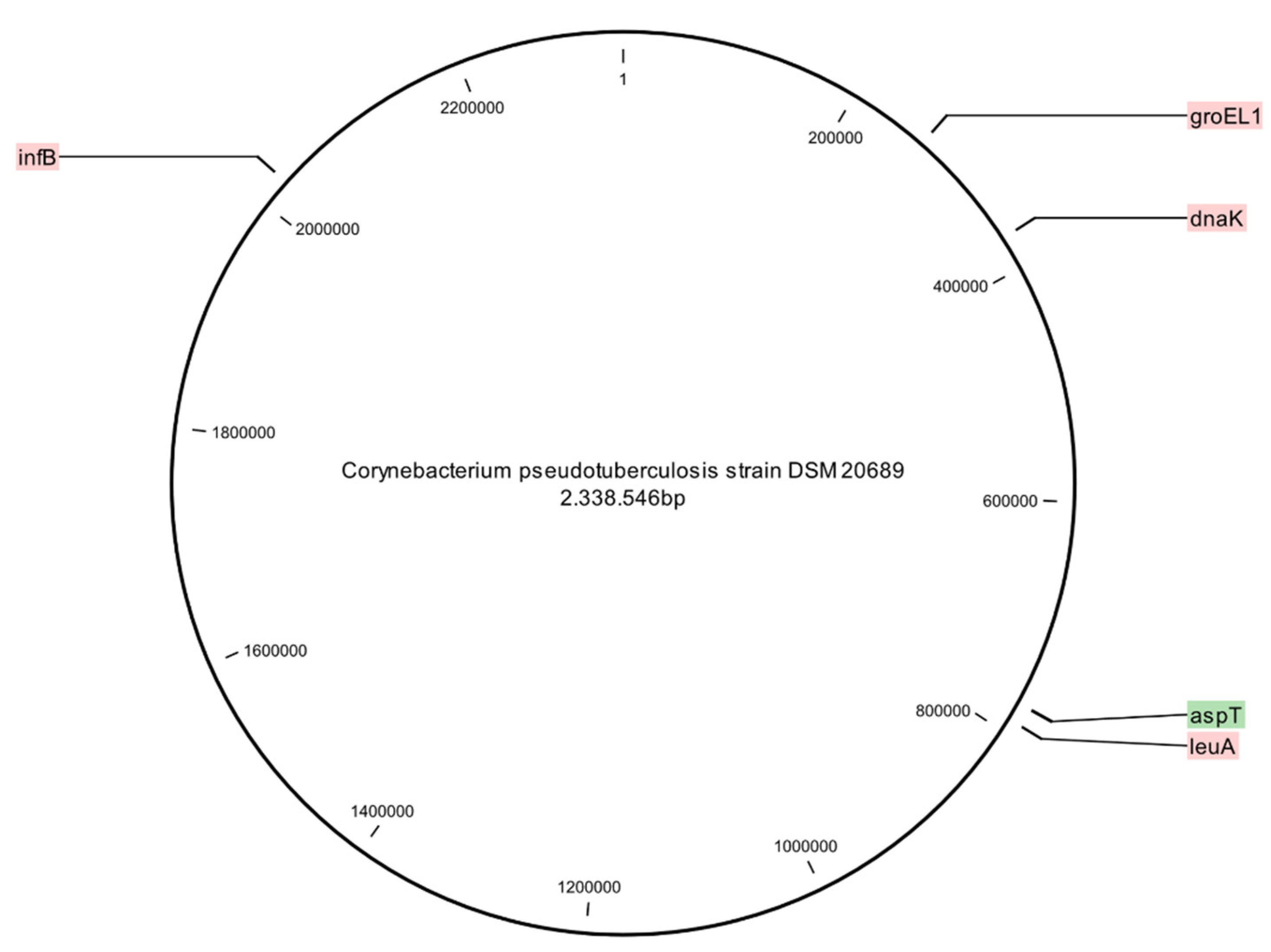 Vetsci 08 00151 g001