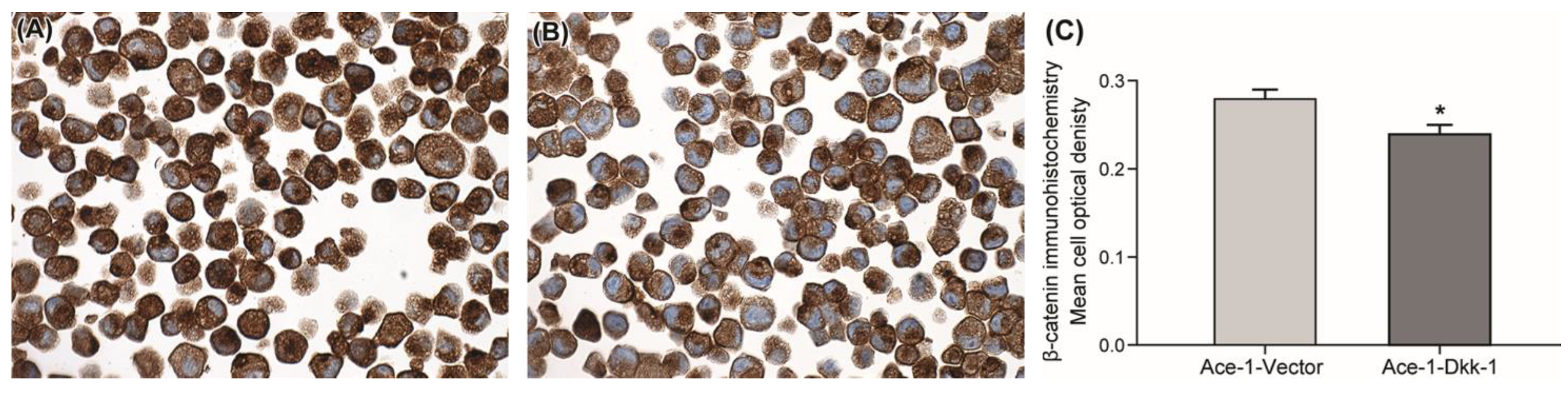 Vetsci 08 00153 g001