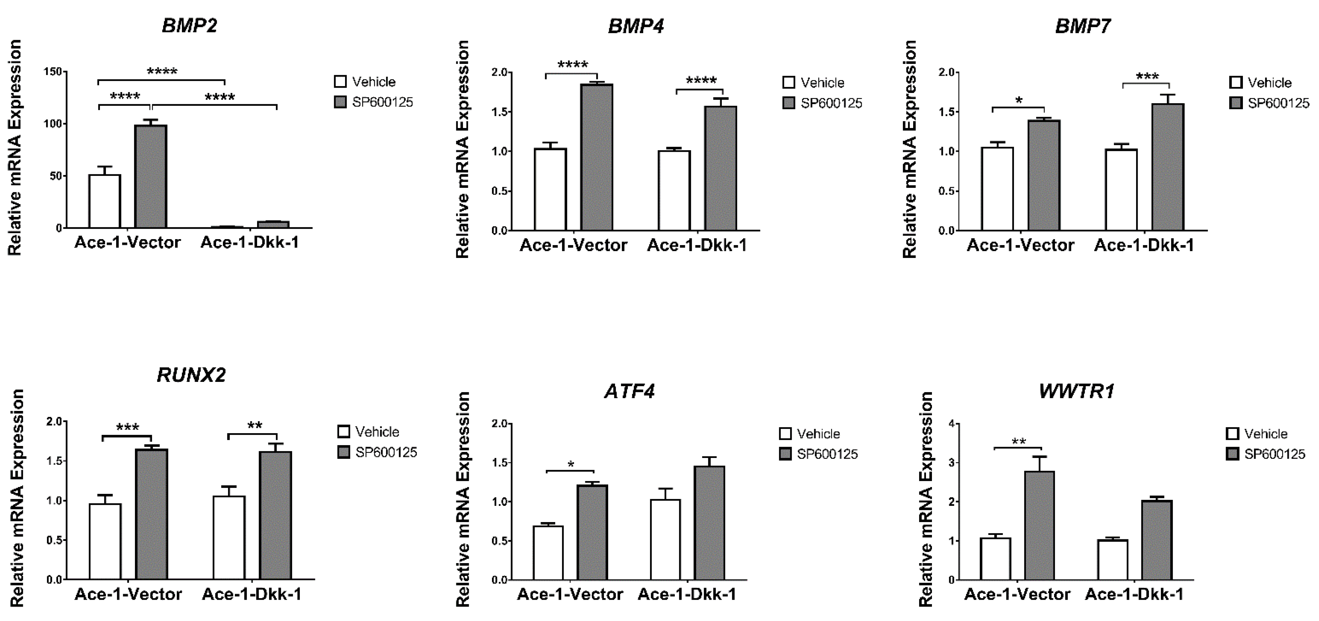 Vetsci 08 00153 g004