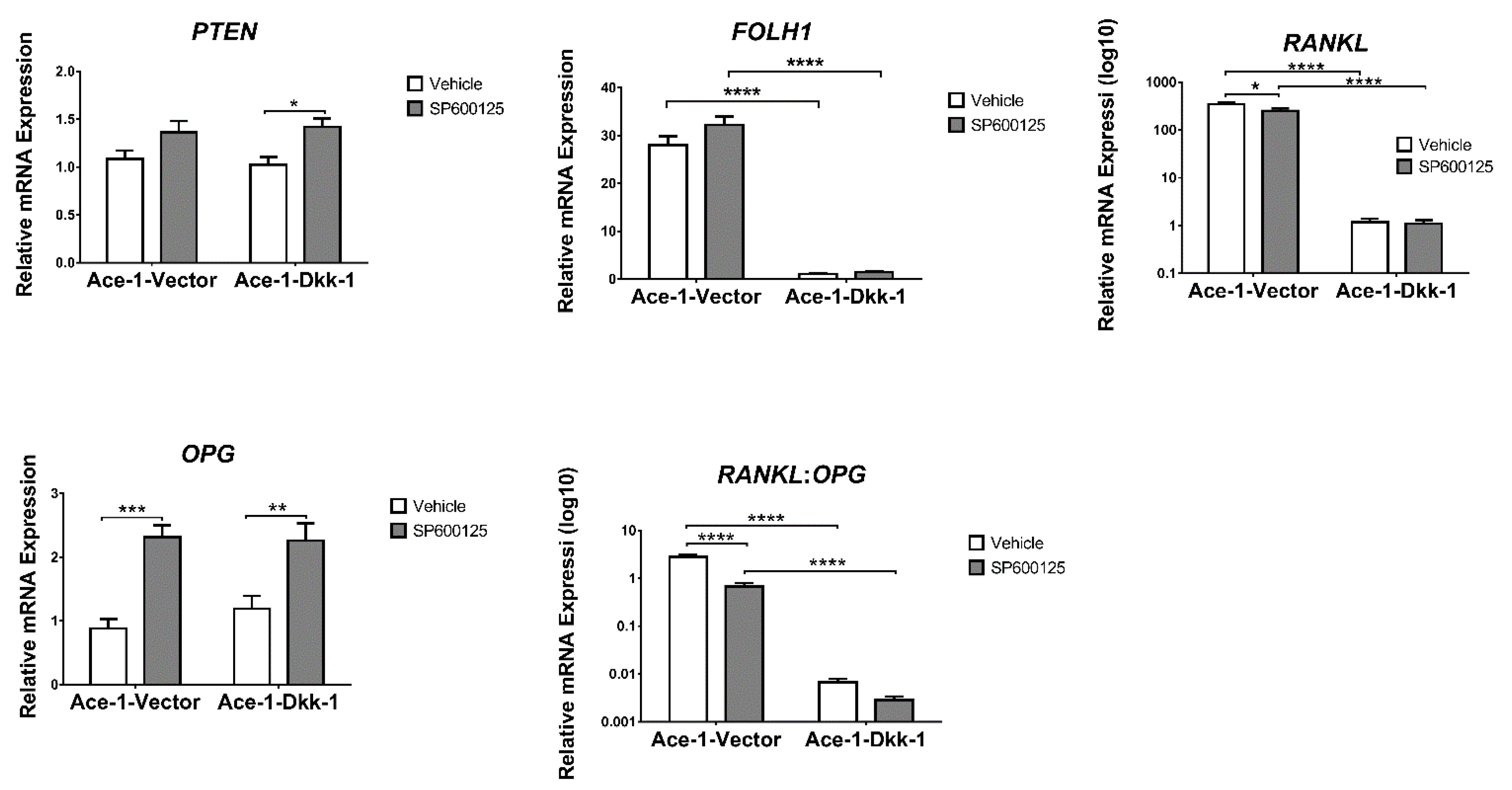 Vetsci 08 00153 g005