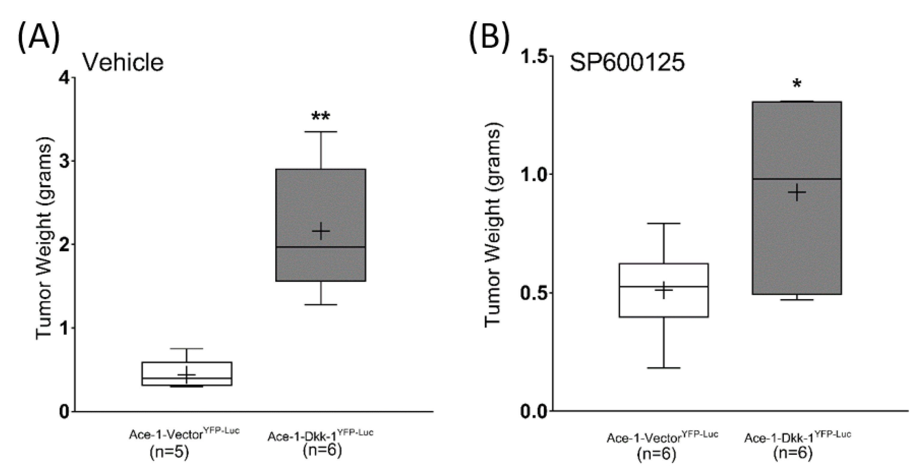 Vetsci 08 00153 g006