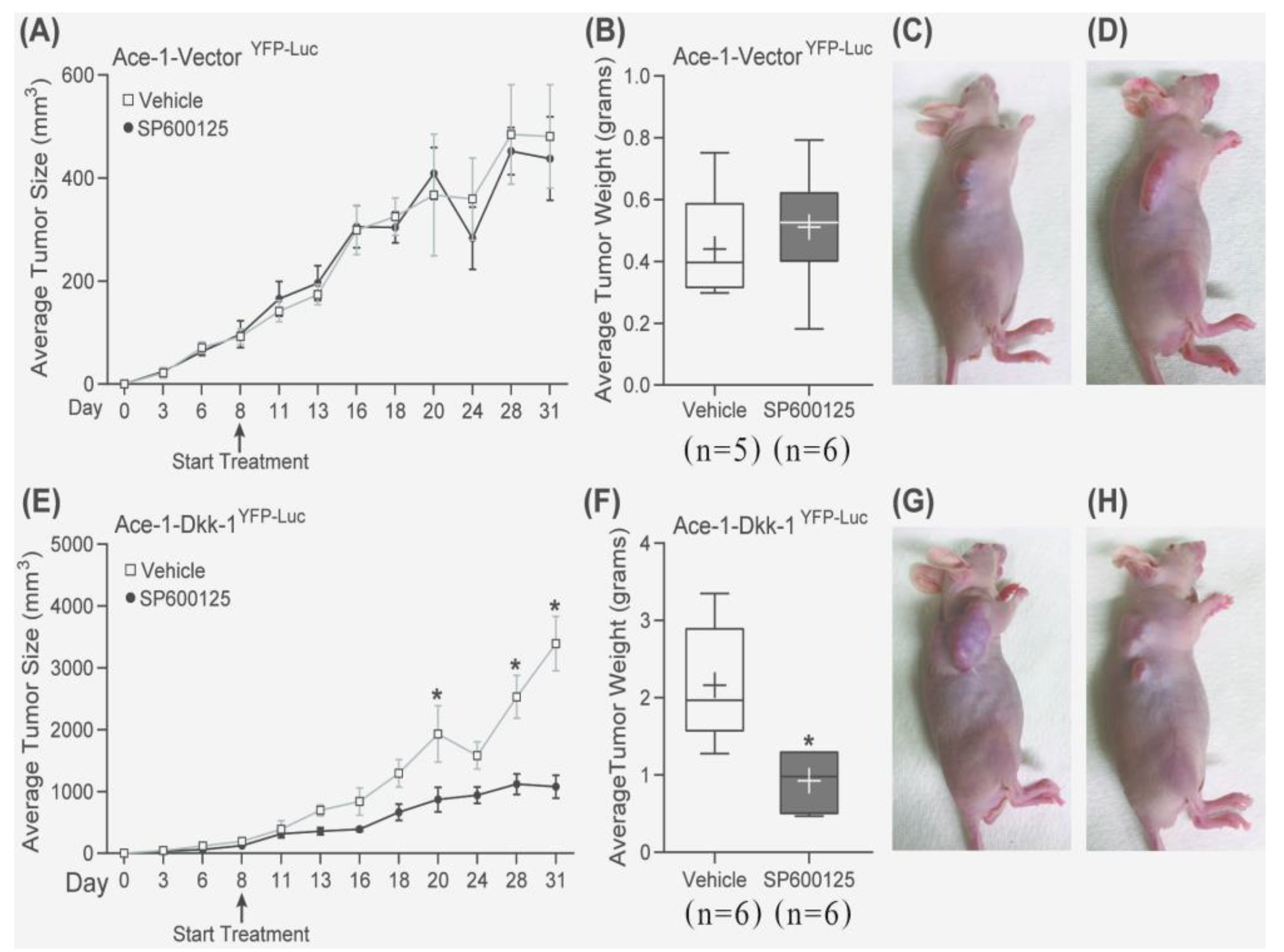 Vetsci 08 00153 g007