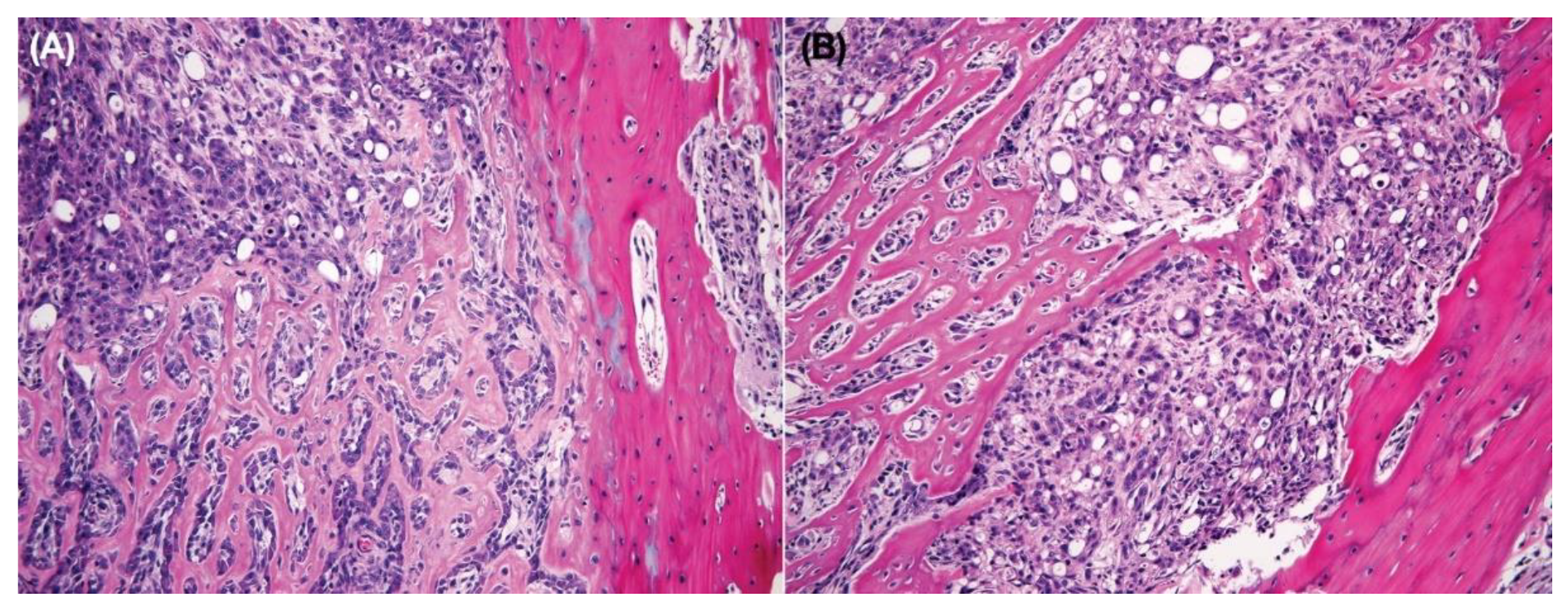 Vetsci 08 00153 g011