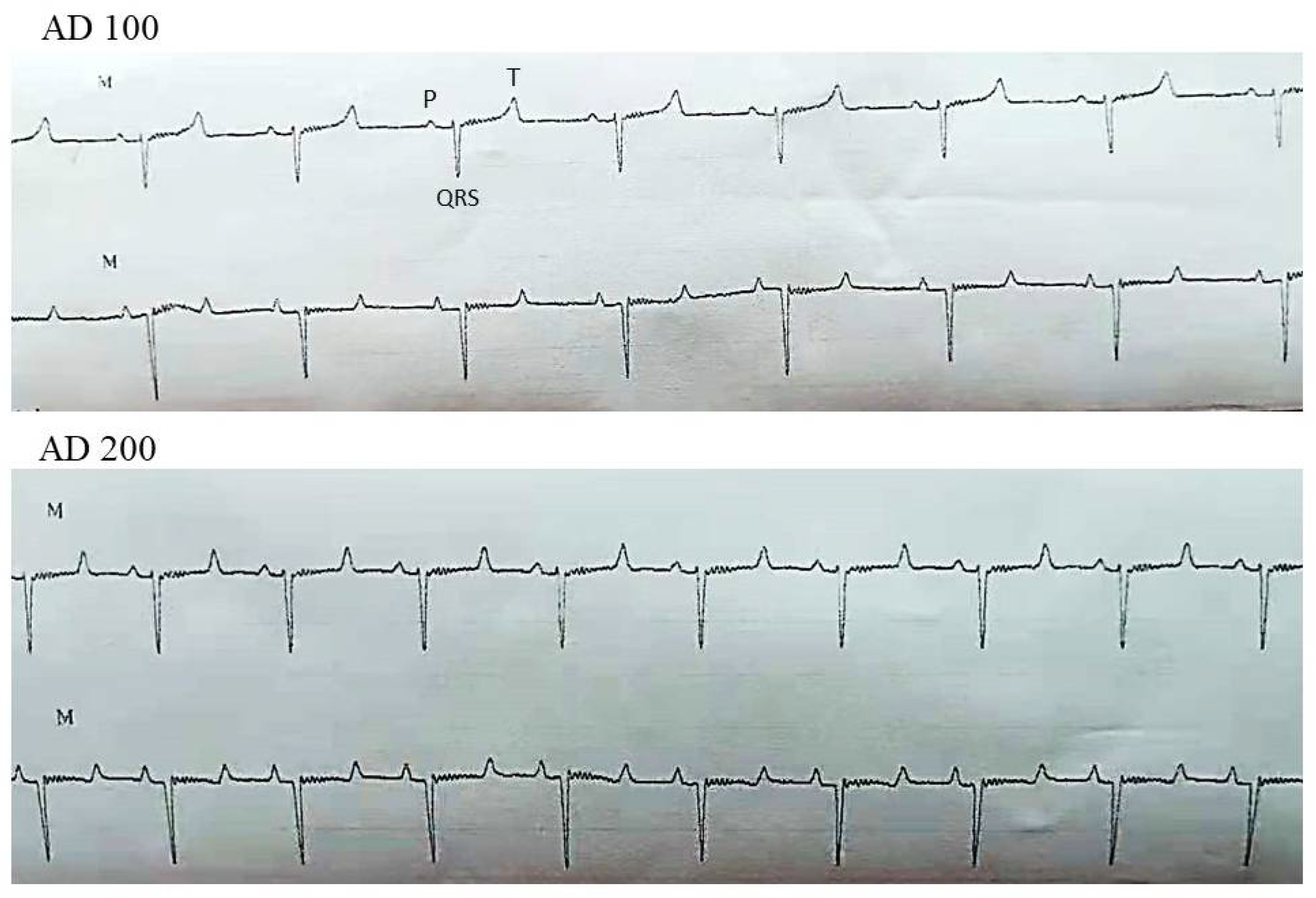 Vetsci 08 00158 g003