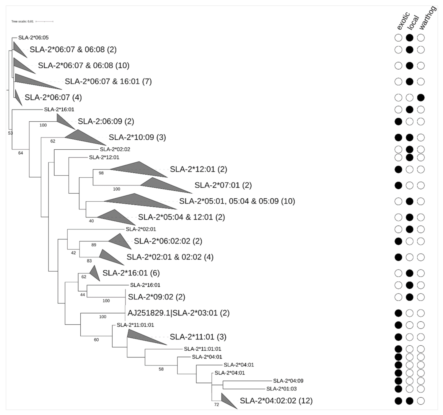 Vetsci 08 00180 g003