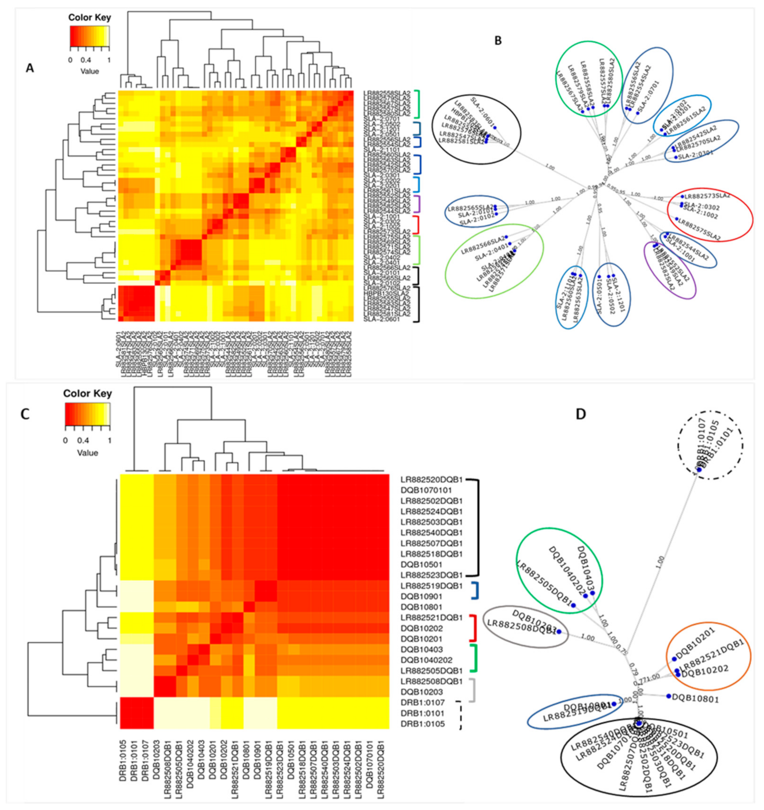 Vetsci 08 00180 g006