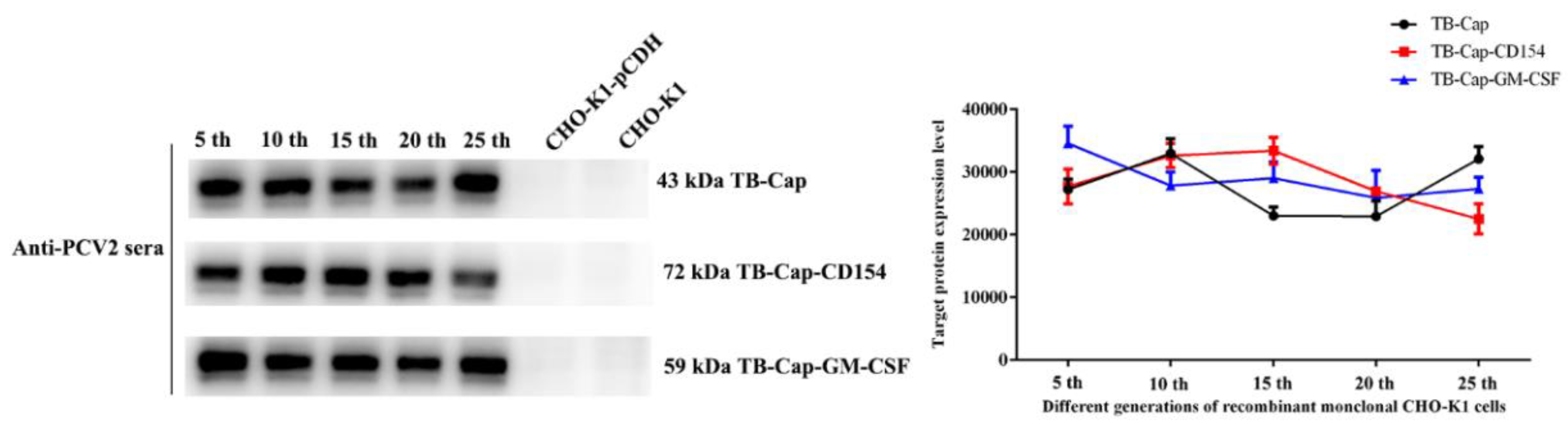 Vetsci 08 00211 g004