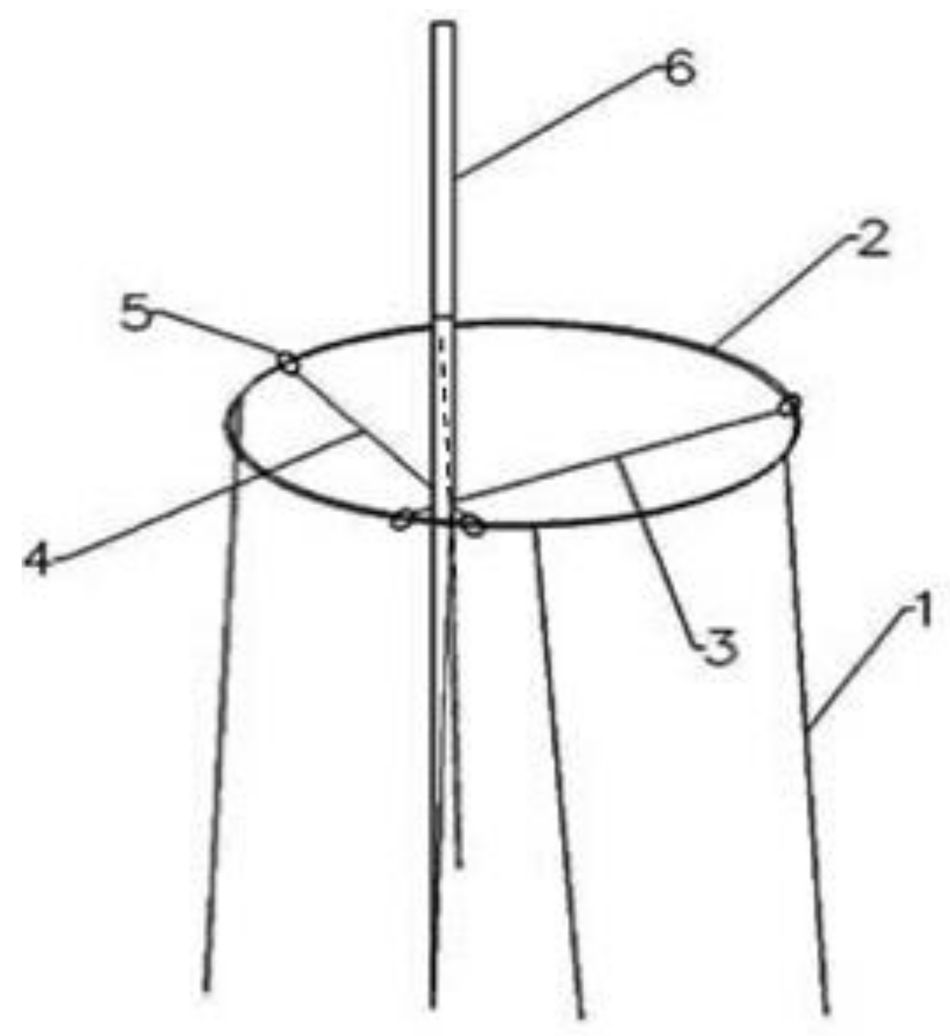 Vetsci 08 00217 g001