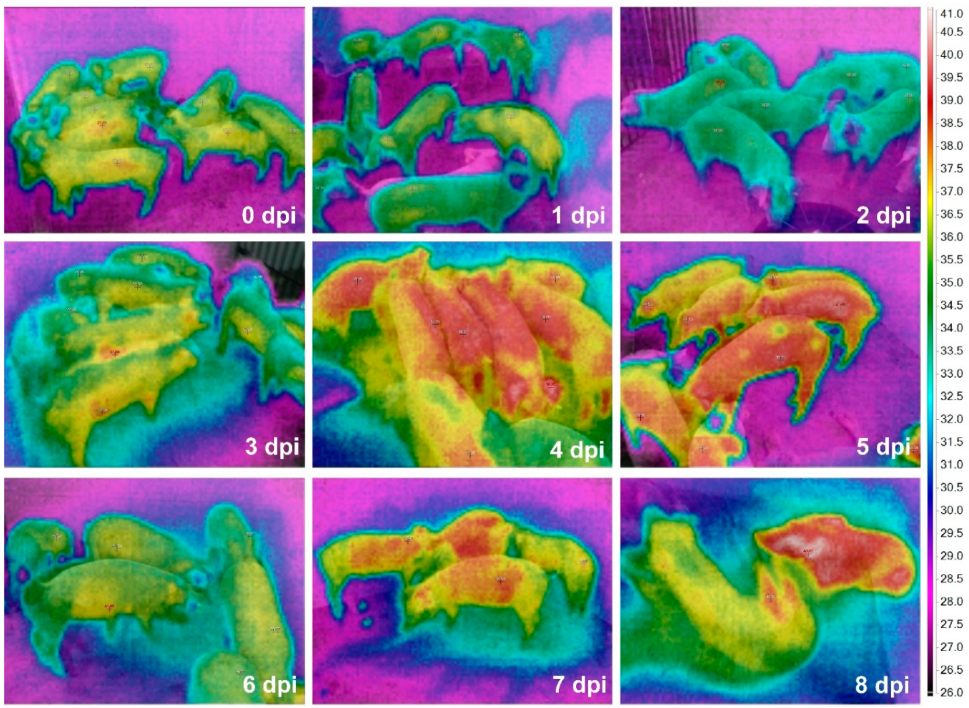 Vetsci 08 00223 g002