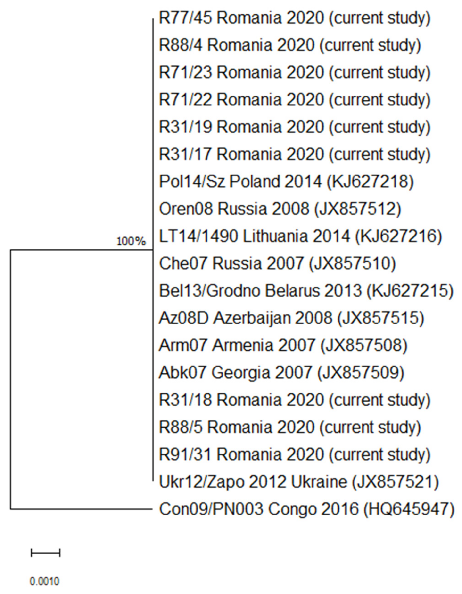 Vetsci 08 00290 g001