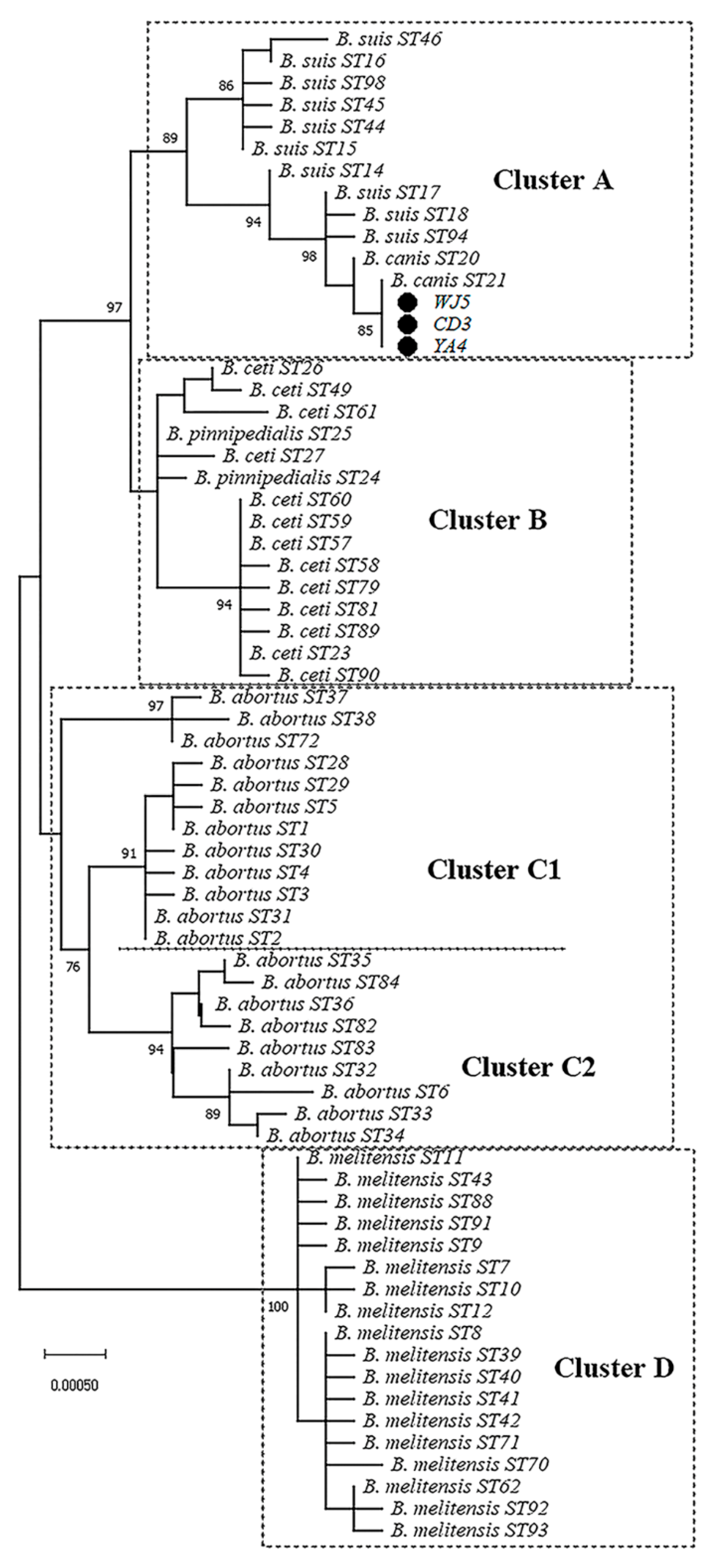 Vetsci 09 00022 g003