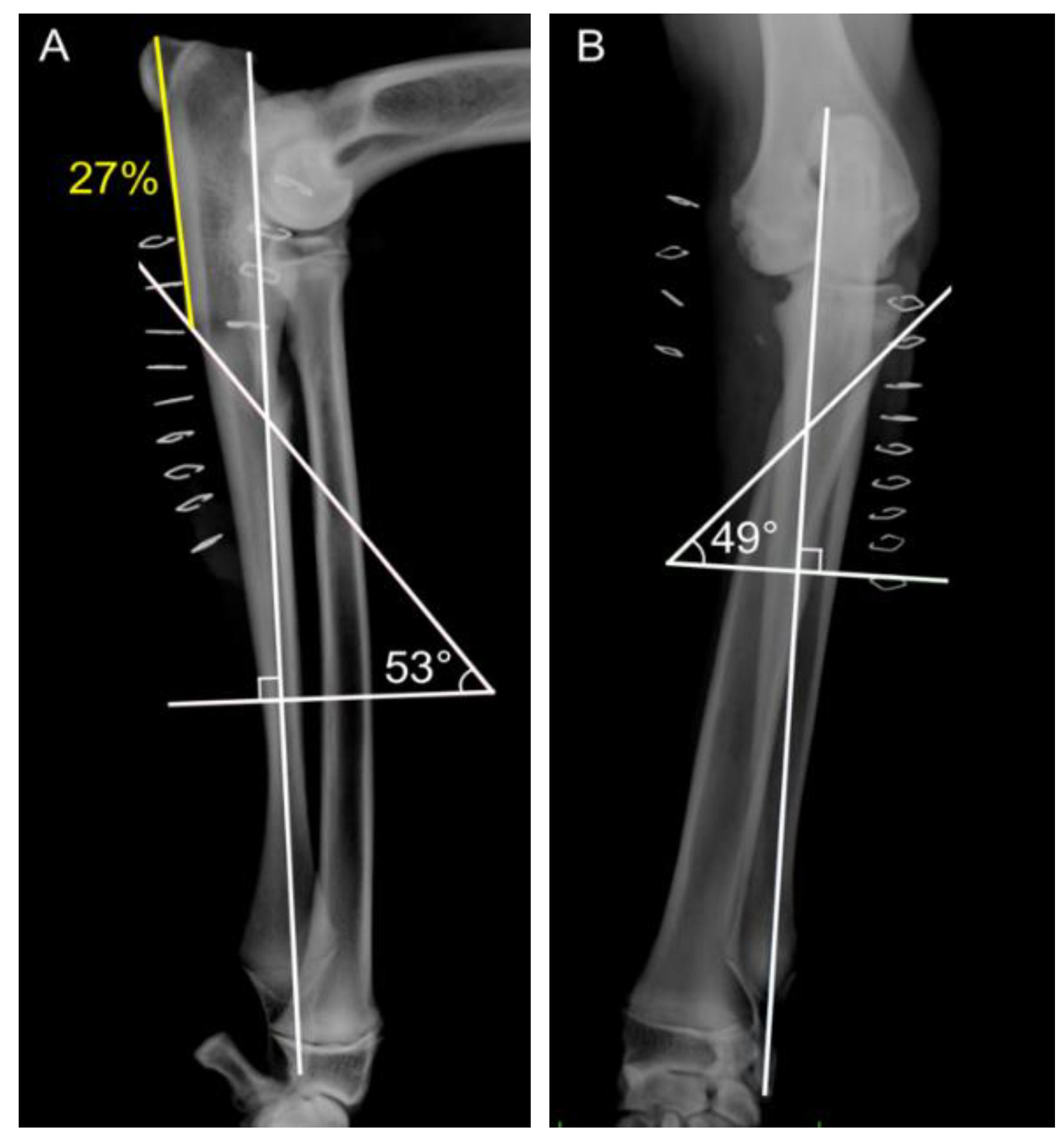 Vetsci 09 00070 g004 Vetsci 09 00070 g004