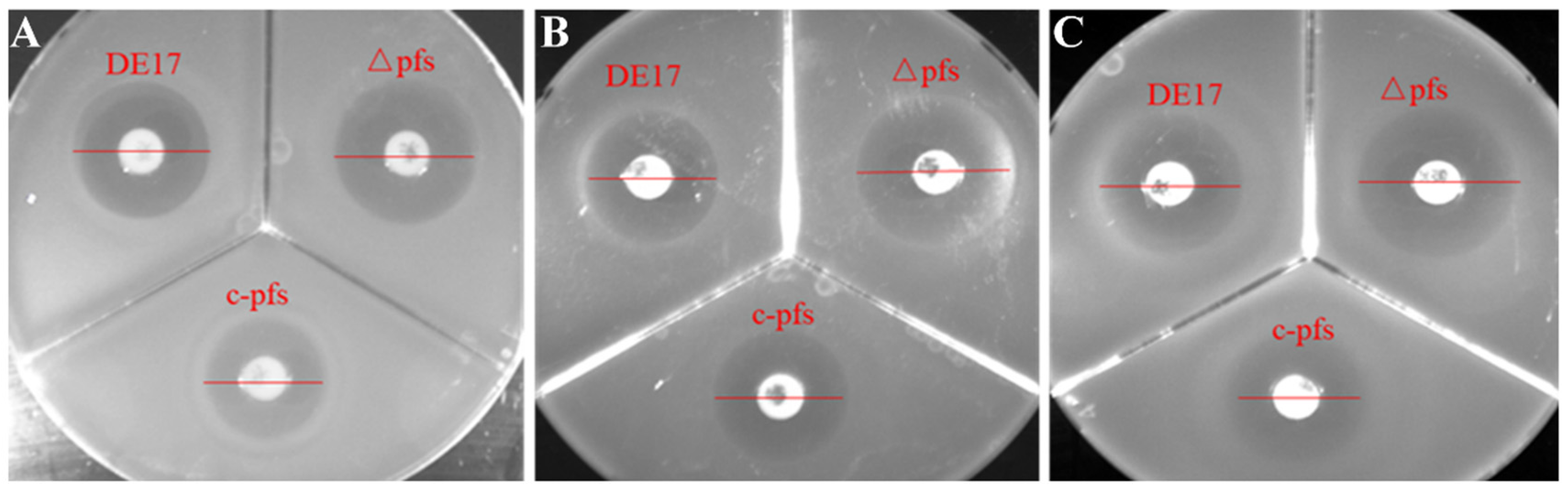 Vetsci 09 00098 g001 Vetsci 09 00098 g001