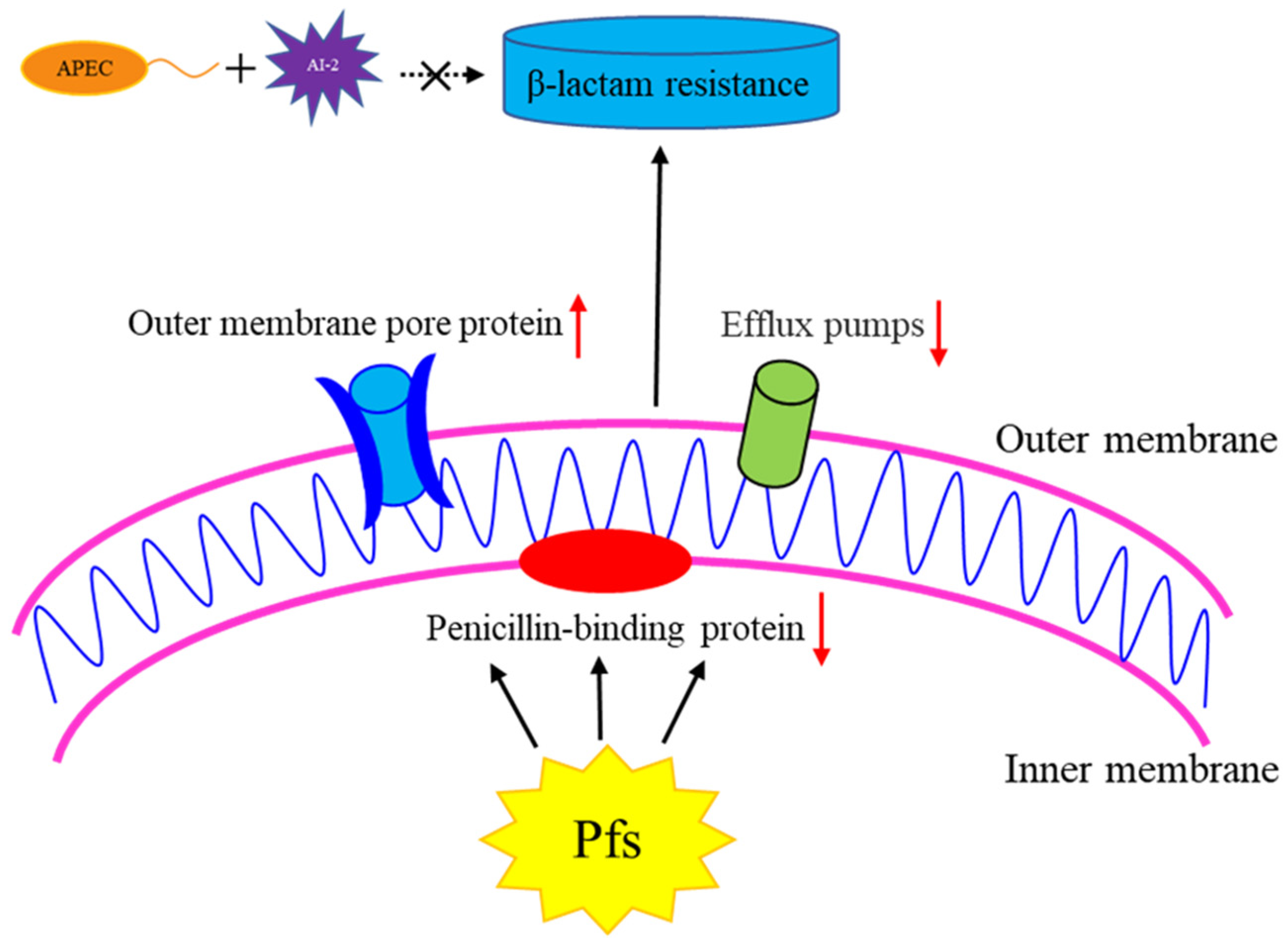 Vetsci 09 00098 g006 Vetsci 09 00098 g006