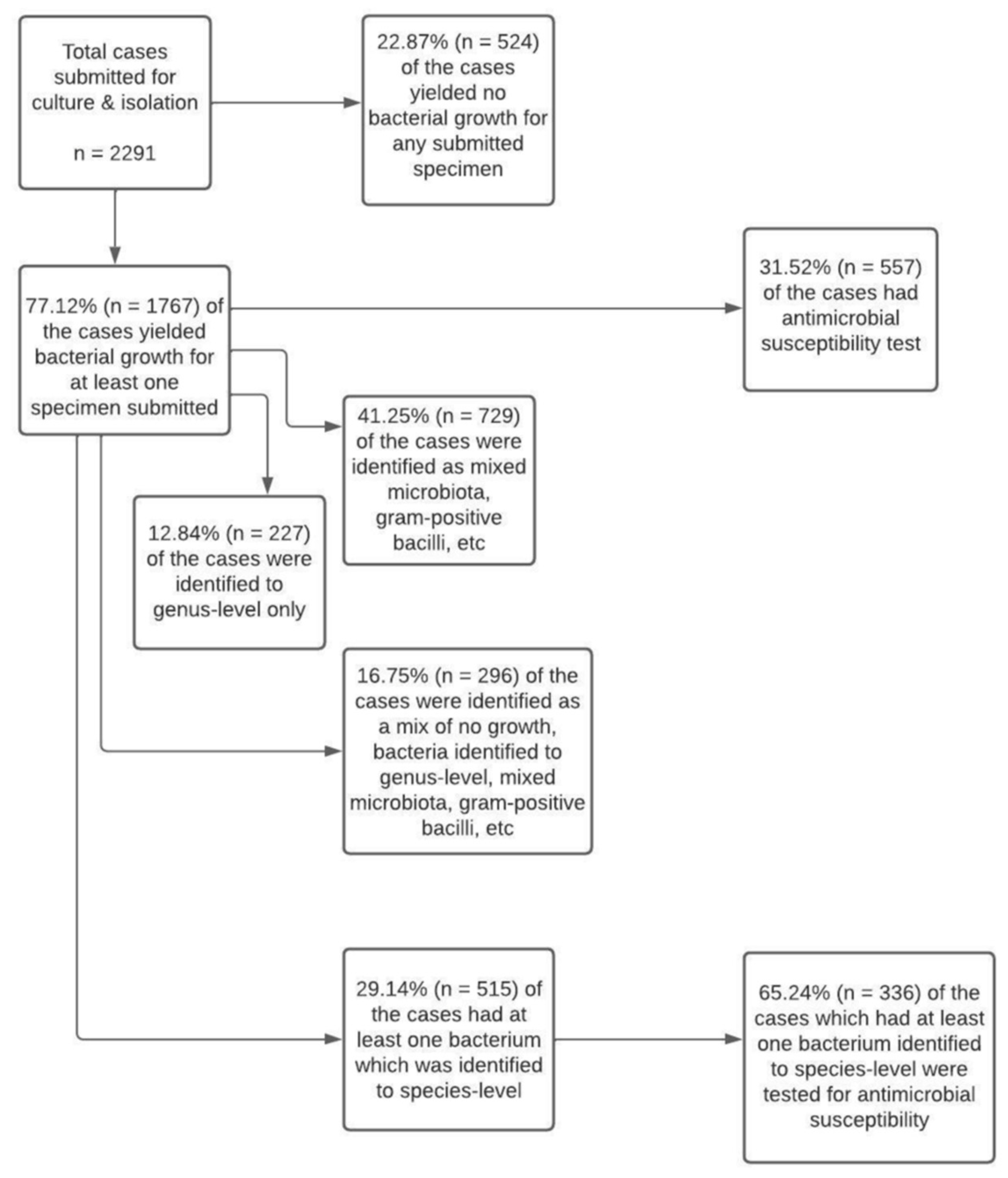 Vetsci 09 00159 g003