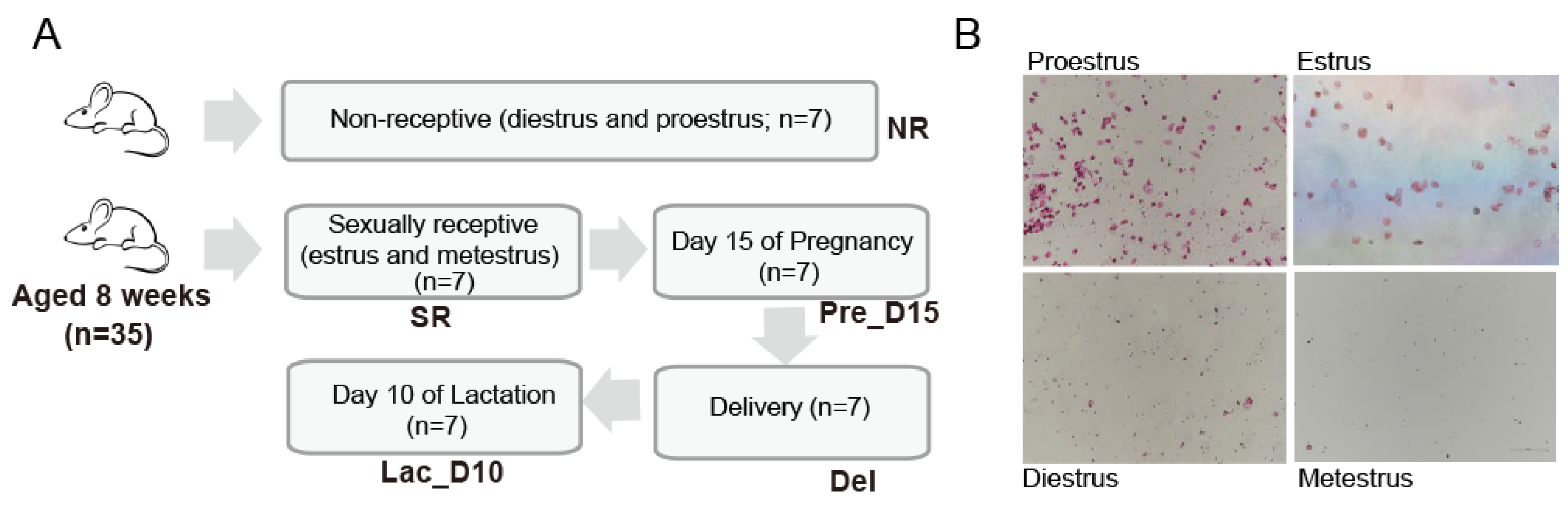 Vetsci 09 00169 g001 Vetsci 09 00169 g001
